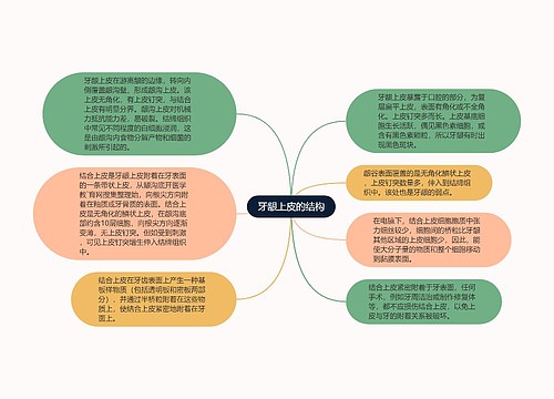 牙龈上皮的结构思维导图