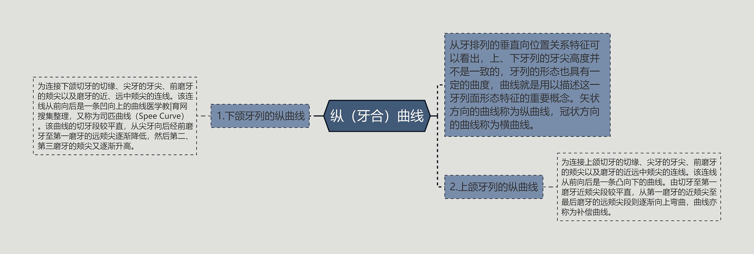 纵（牙合）曲线