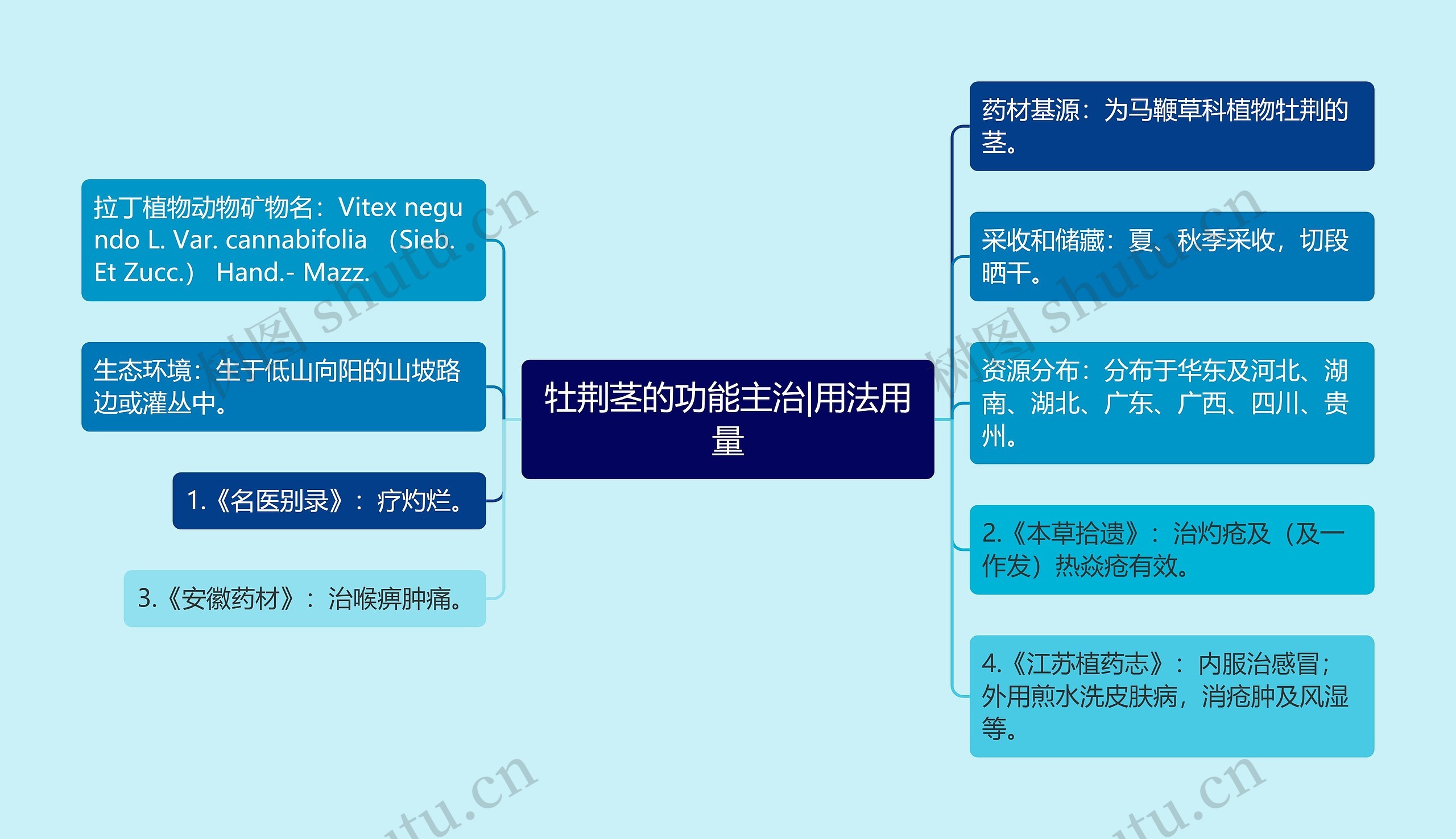 牡荆茎的功能主治|用法用量思维导图