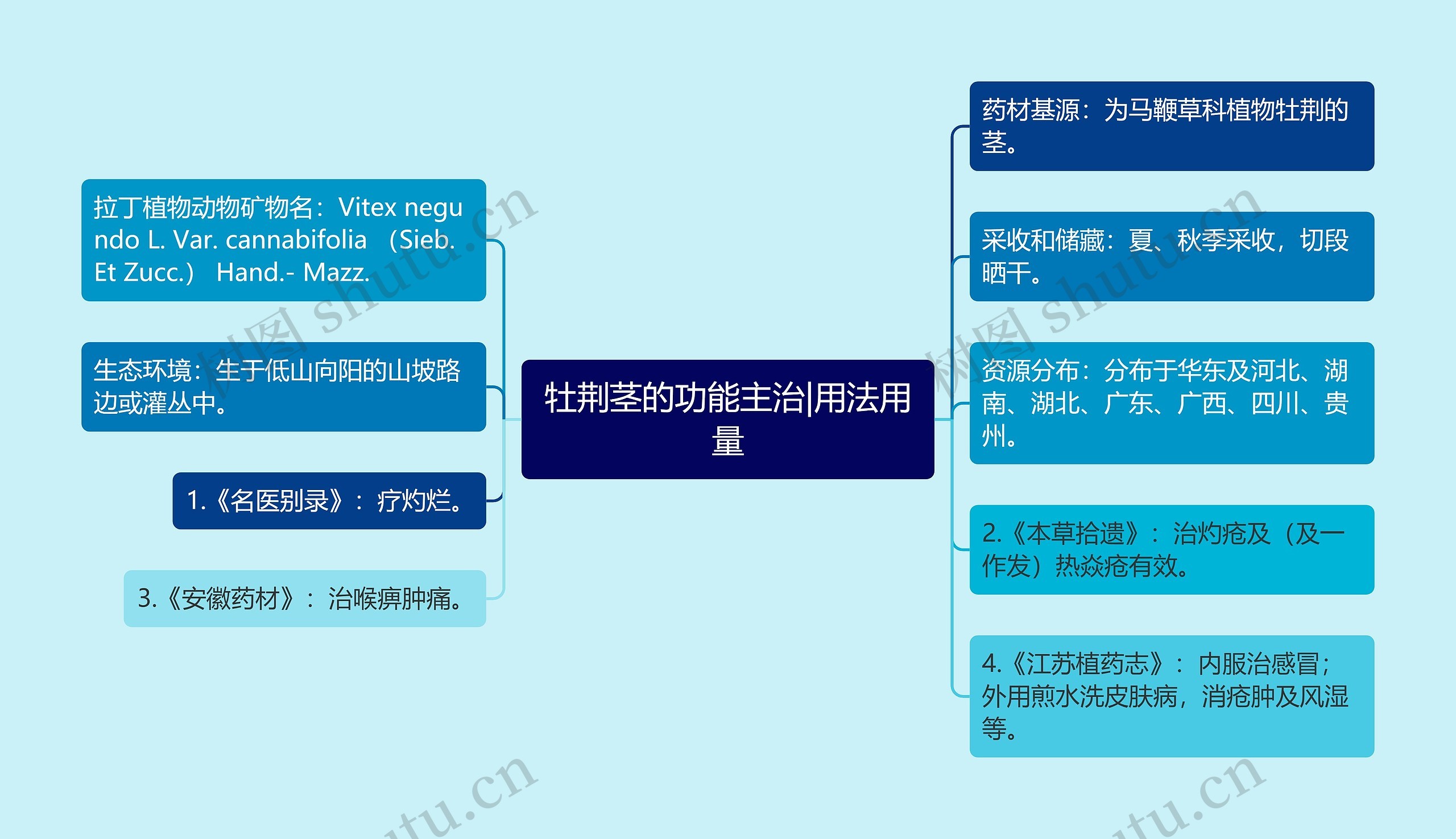 牡荆茎的功能主治|用法用量 牡荆茎的功能主治|用法用量