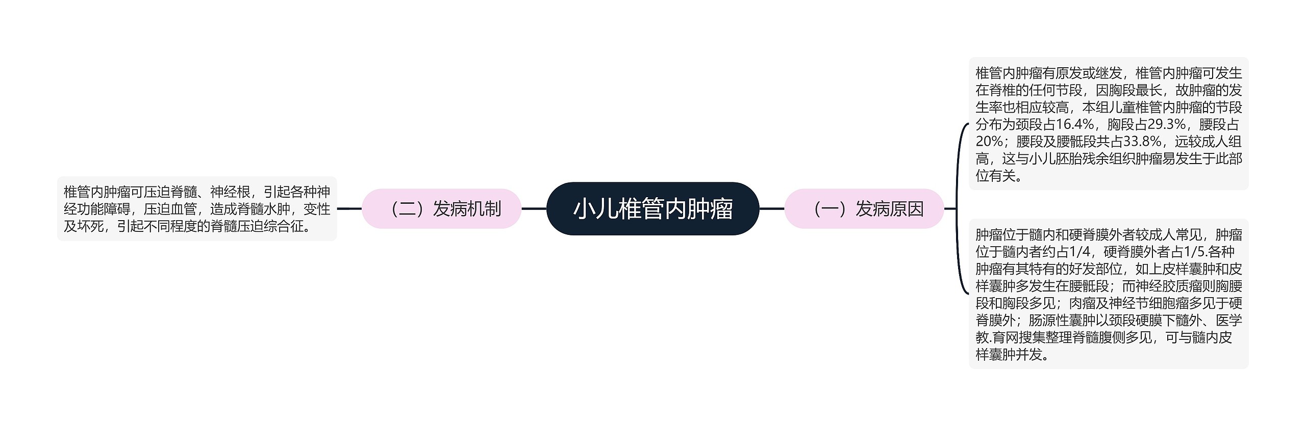 小儿椎管内肿瘤
