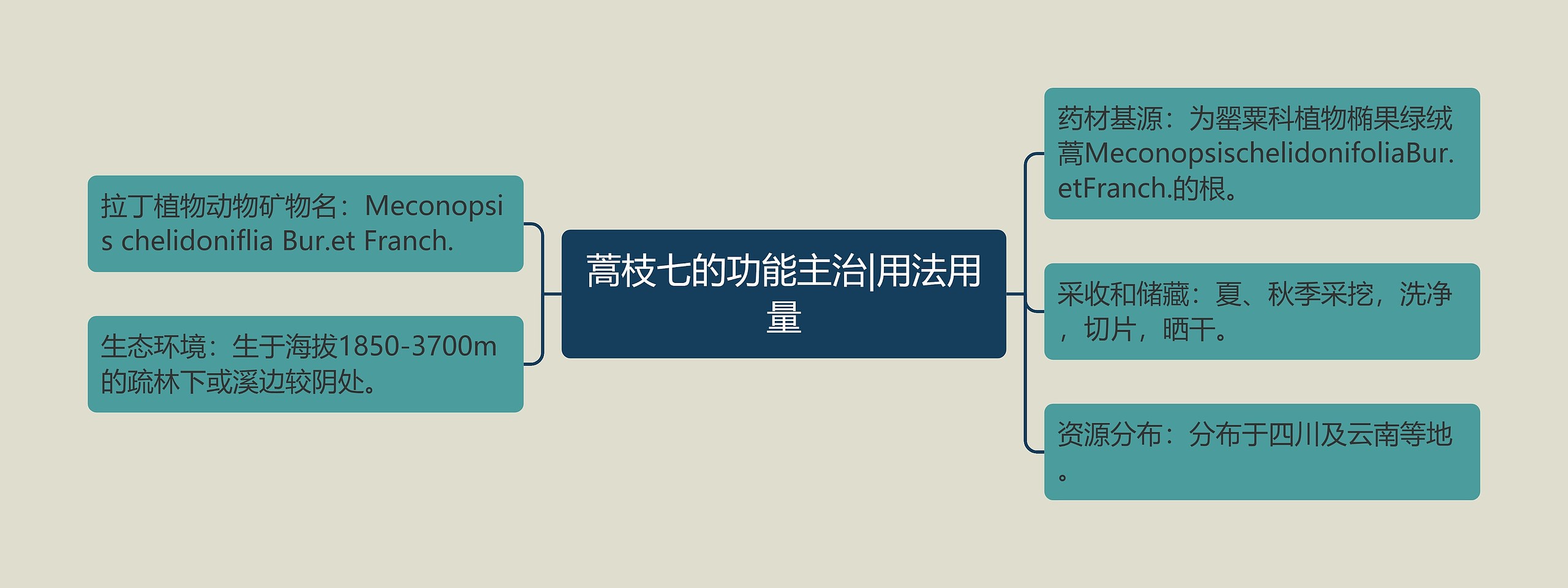 蒿枝七的功能主治|用法用量