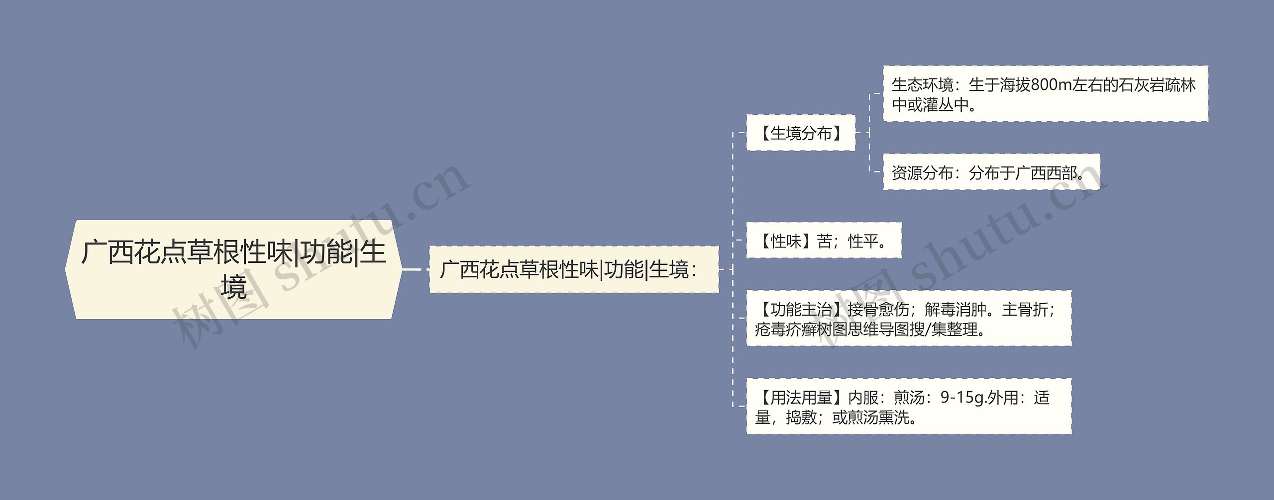 广西花点草根性味|功能|生境 广西花点草根性味|功能|生境