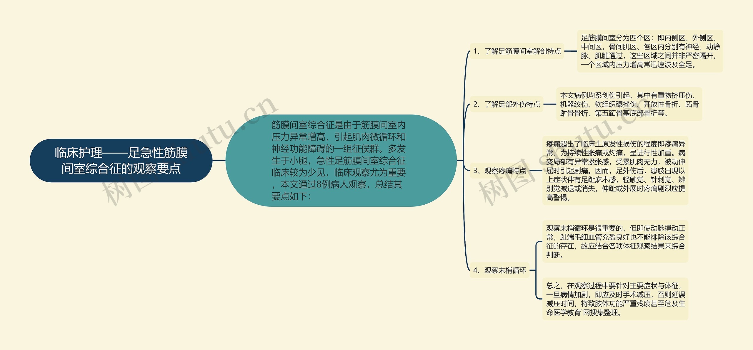 临床护理——足急性筋膜间室综合征的观察要点思维导图