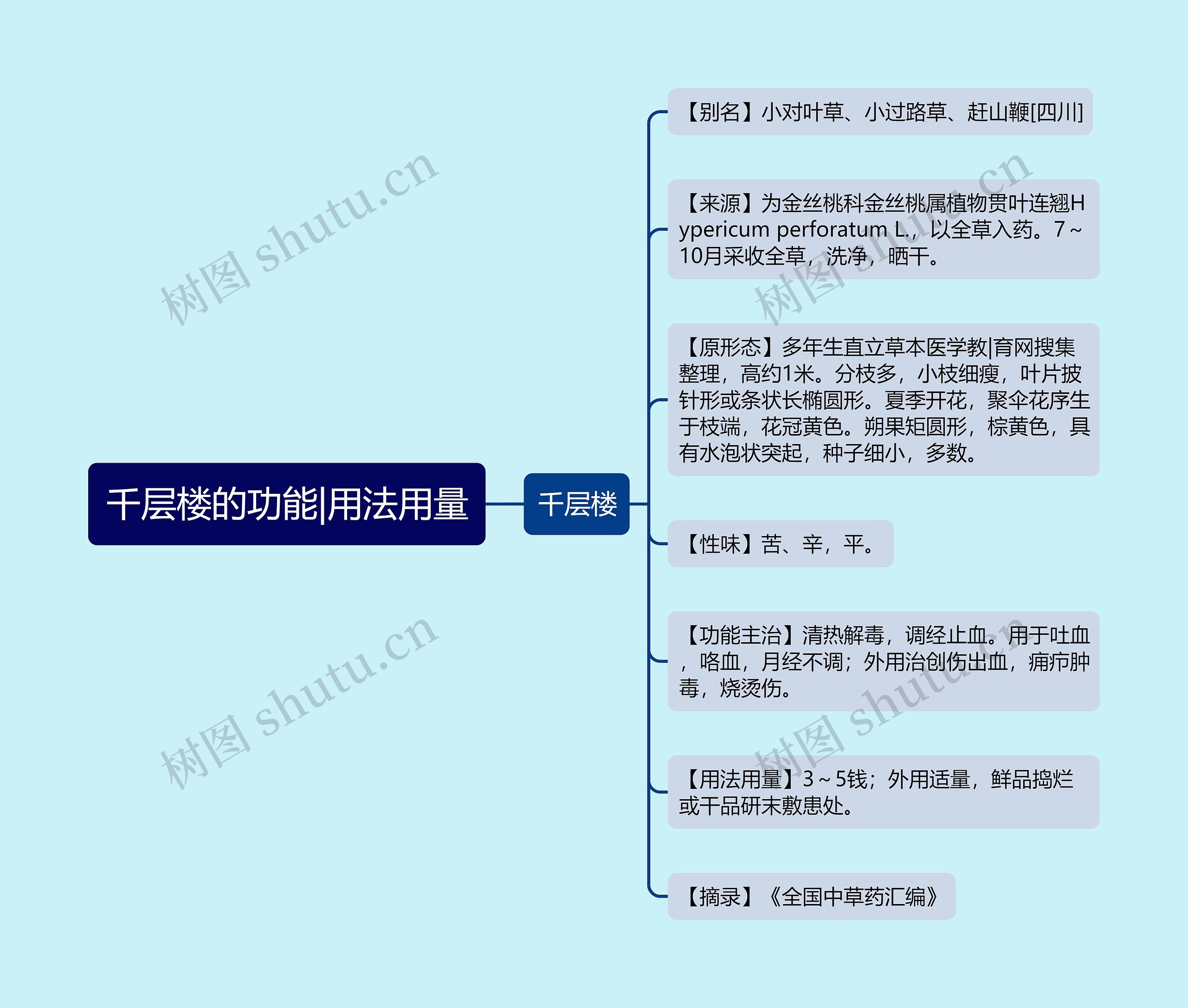 千层楼的功能|用法用量思维导图