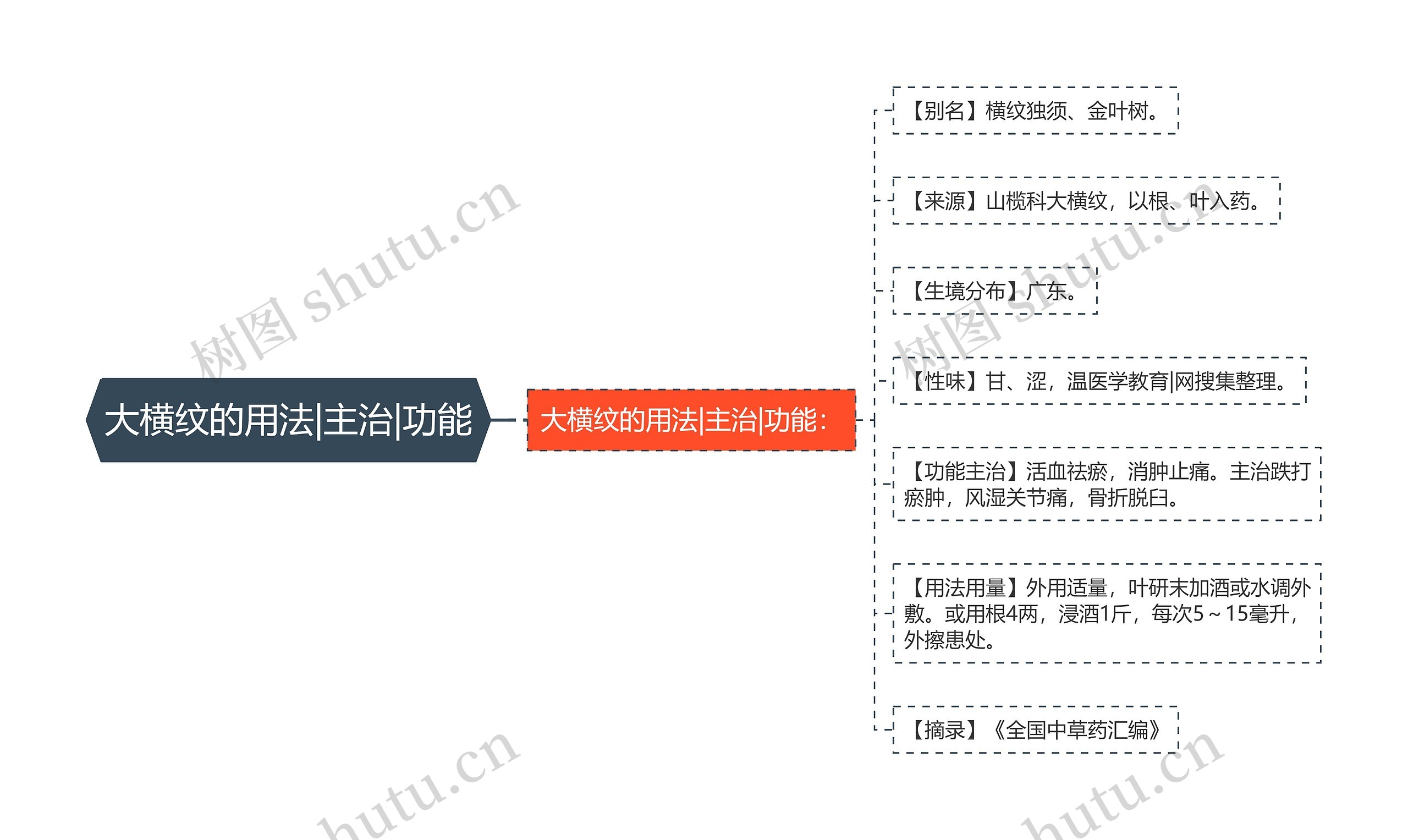 大横纹的用法|主治|功能