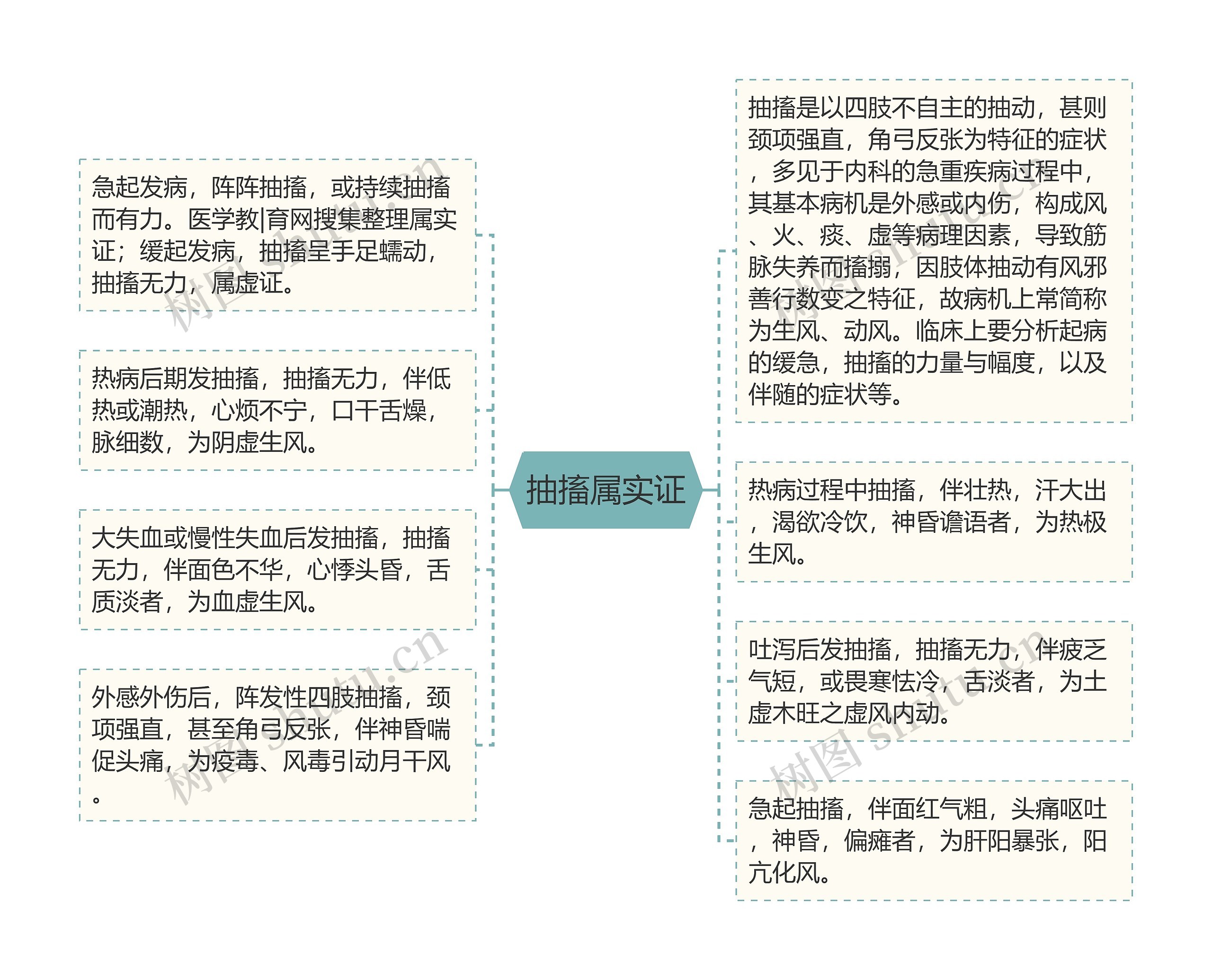 抽搐属实证思维导图