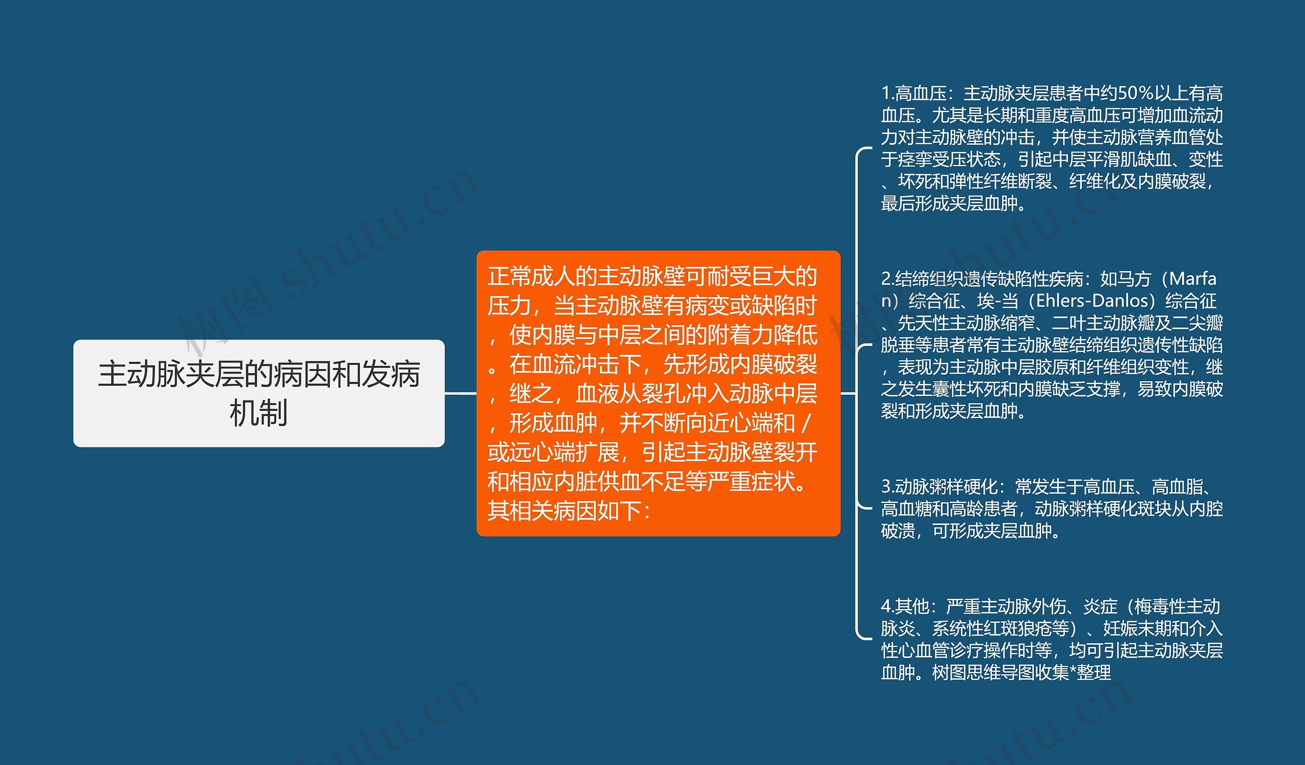 主动脉夹层的病因和发病机制思维导图