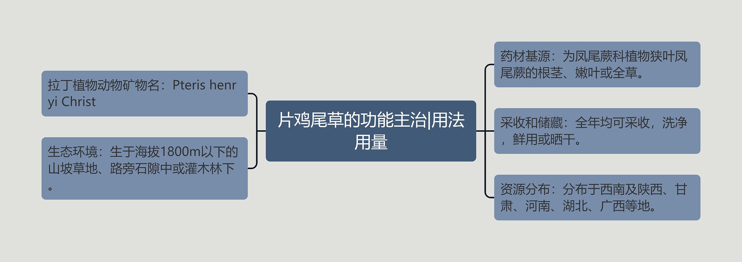 片鸡尾草的功能主治|用法用量思维导图