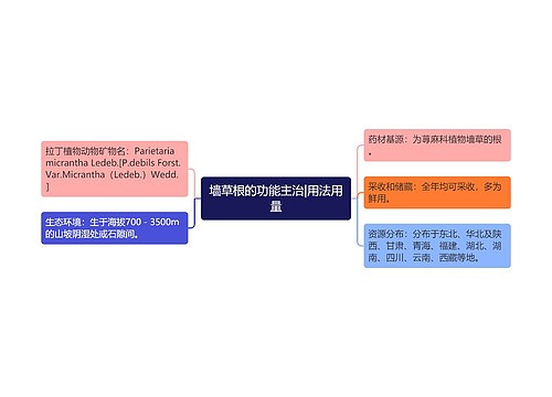 墙草根的功能主治|用法用量