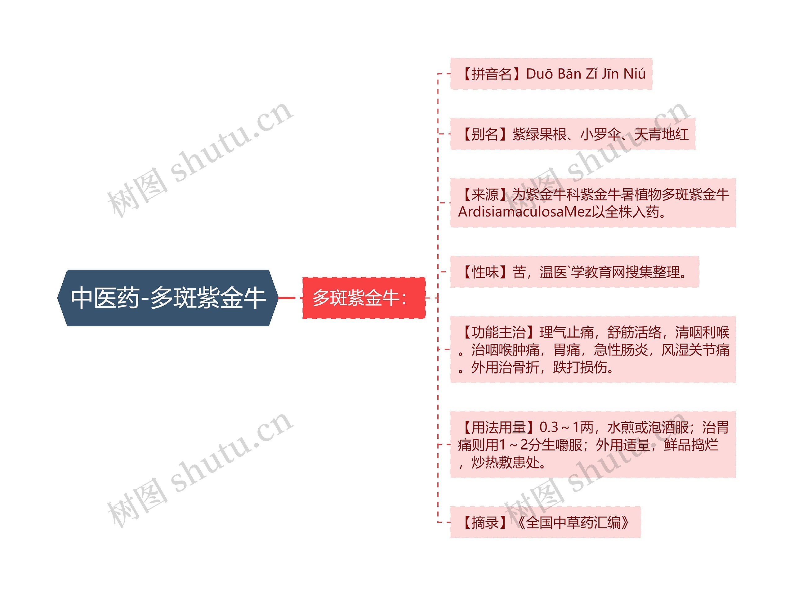 中医药-多斑紫金牛思维导图