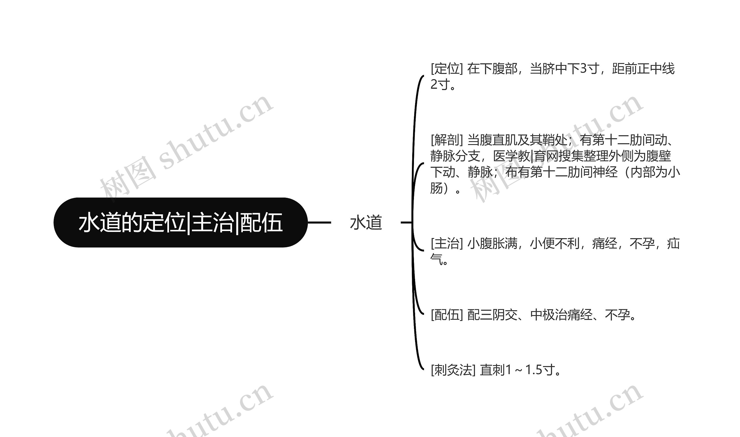 水道的定位|主治|配伍思维导图