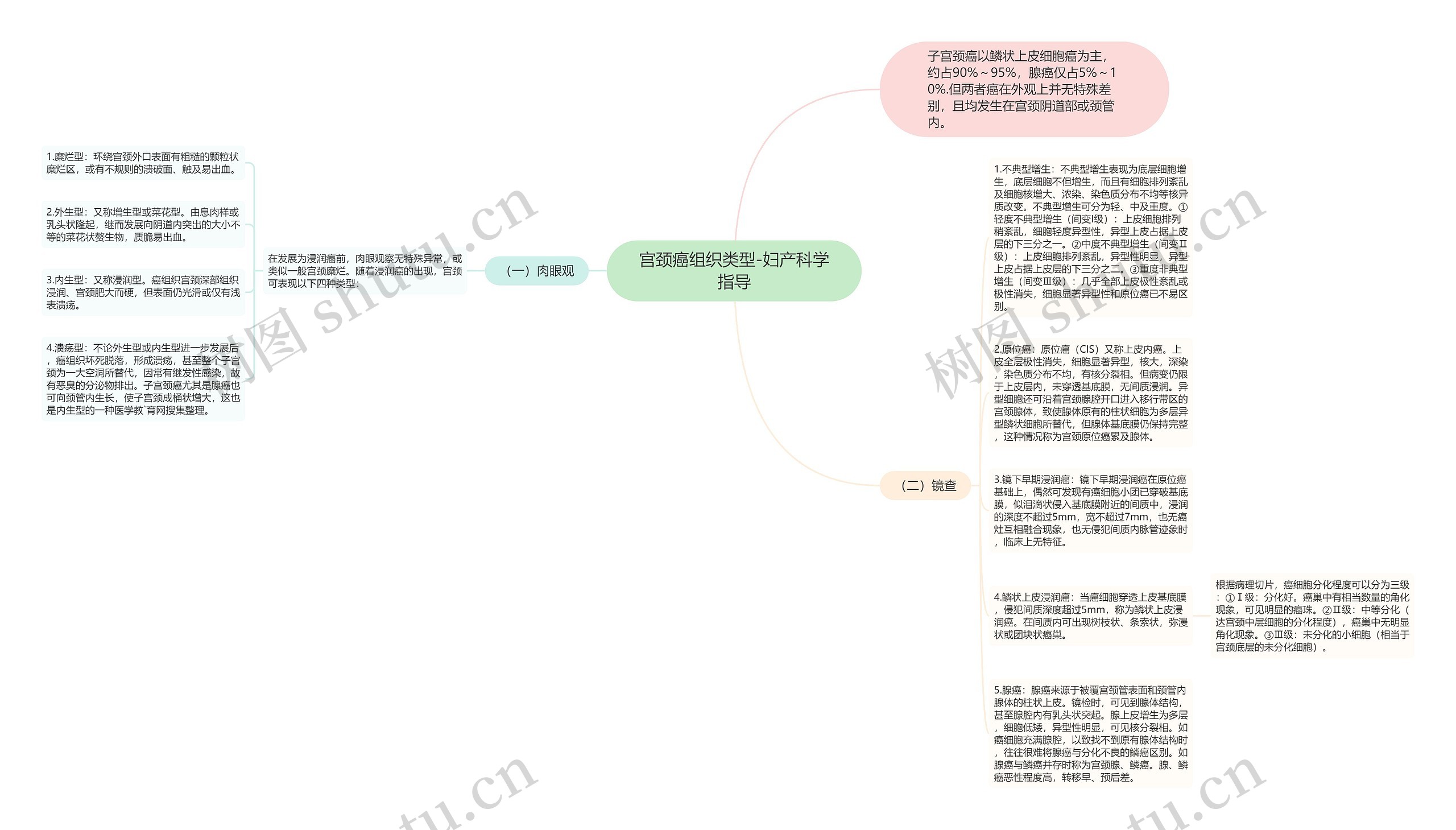 宫颈癌组织类型-妇产科学指导思维导图