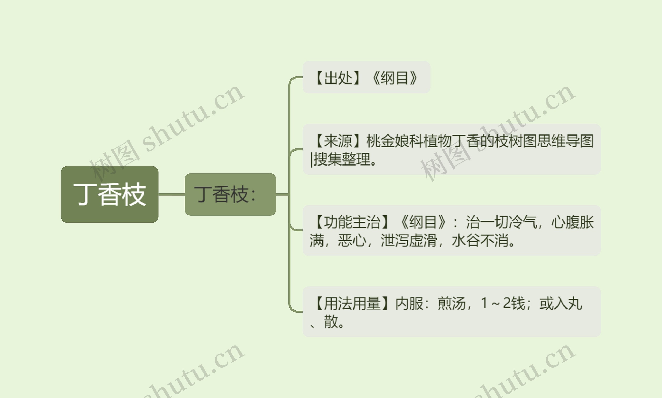 丁香枝思维导图