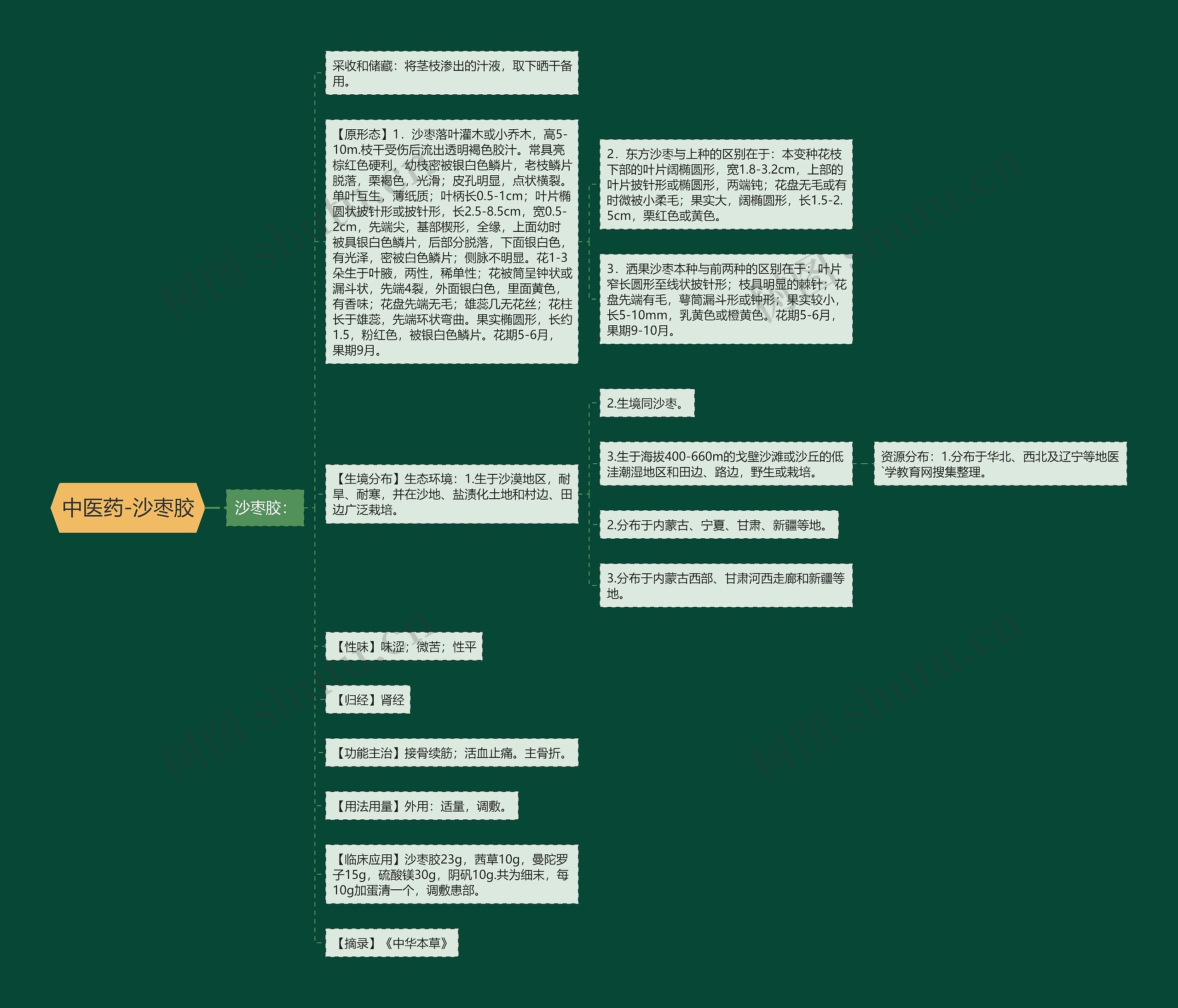 中医药-沙枣胶思维导图