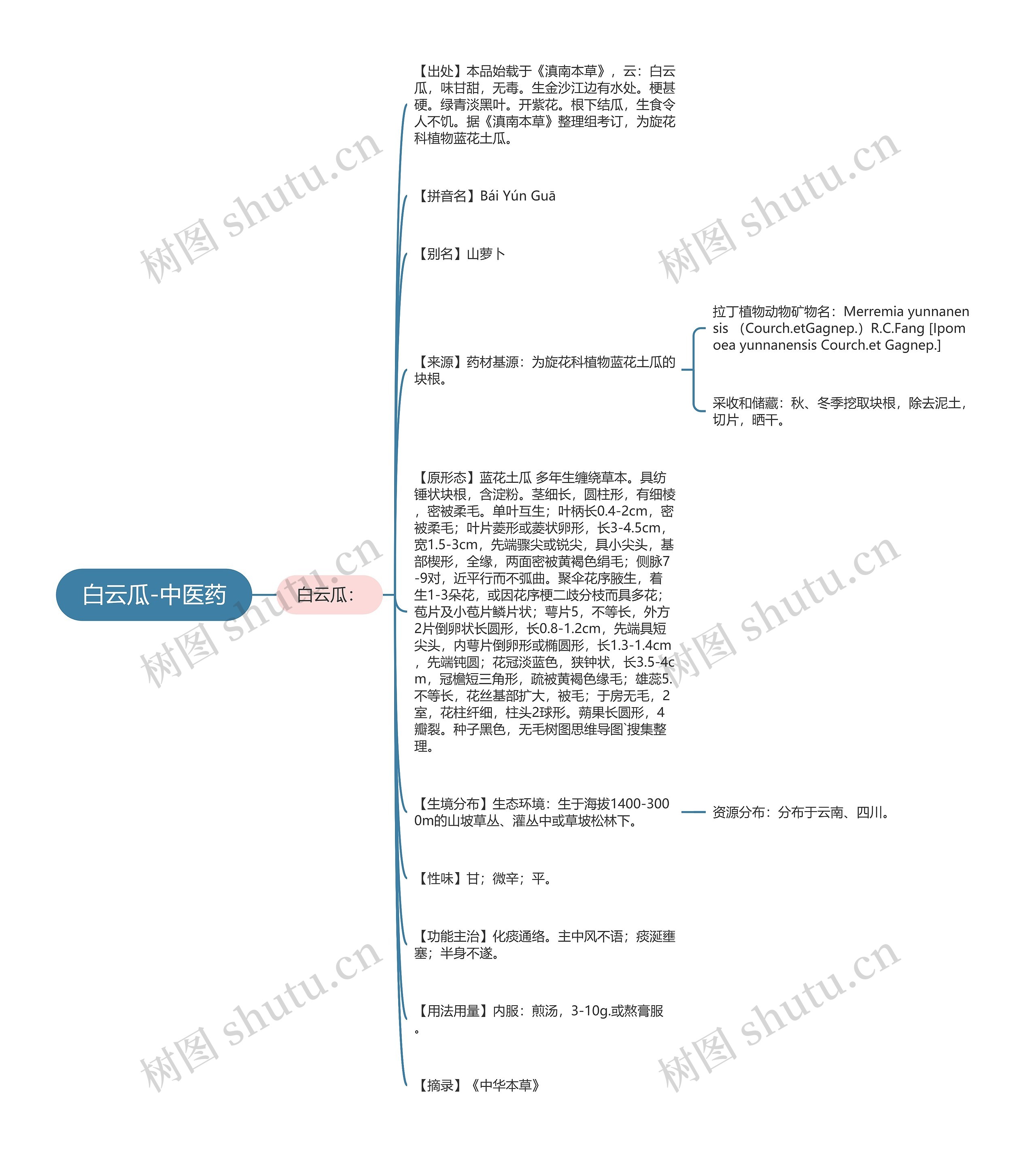白云瓜-中医药思维导图