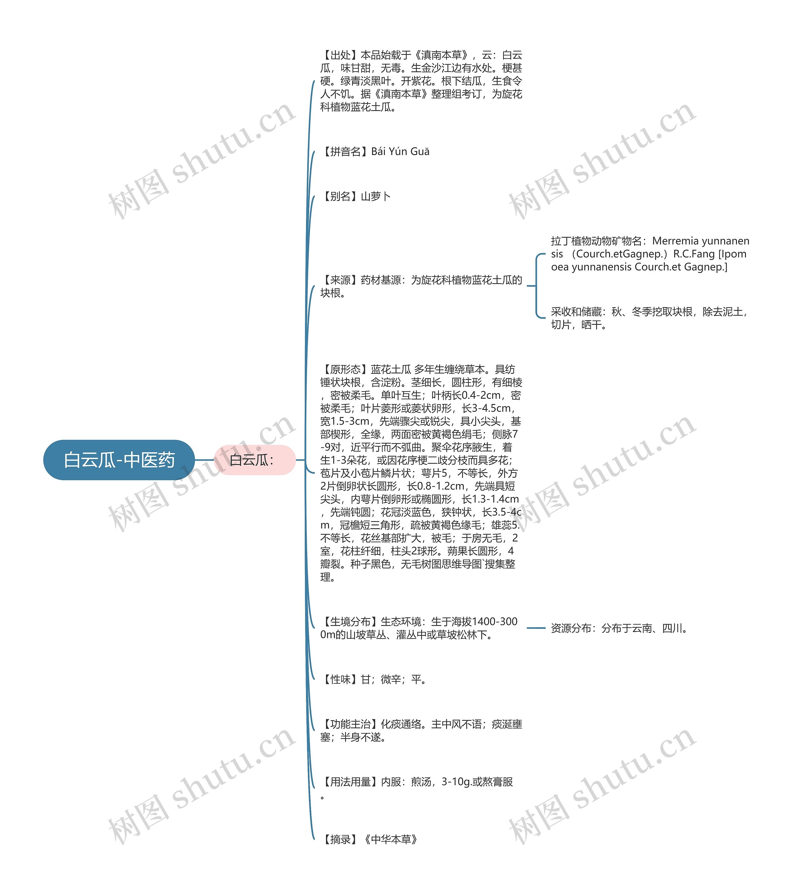 白云瓜-中医药 白云瓜-中医药
