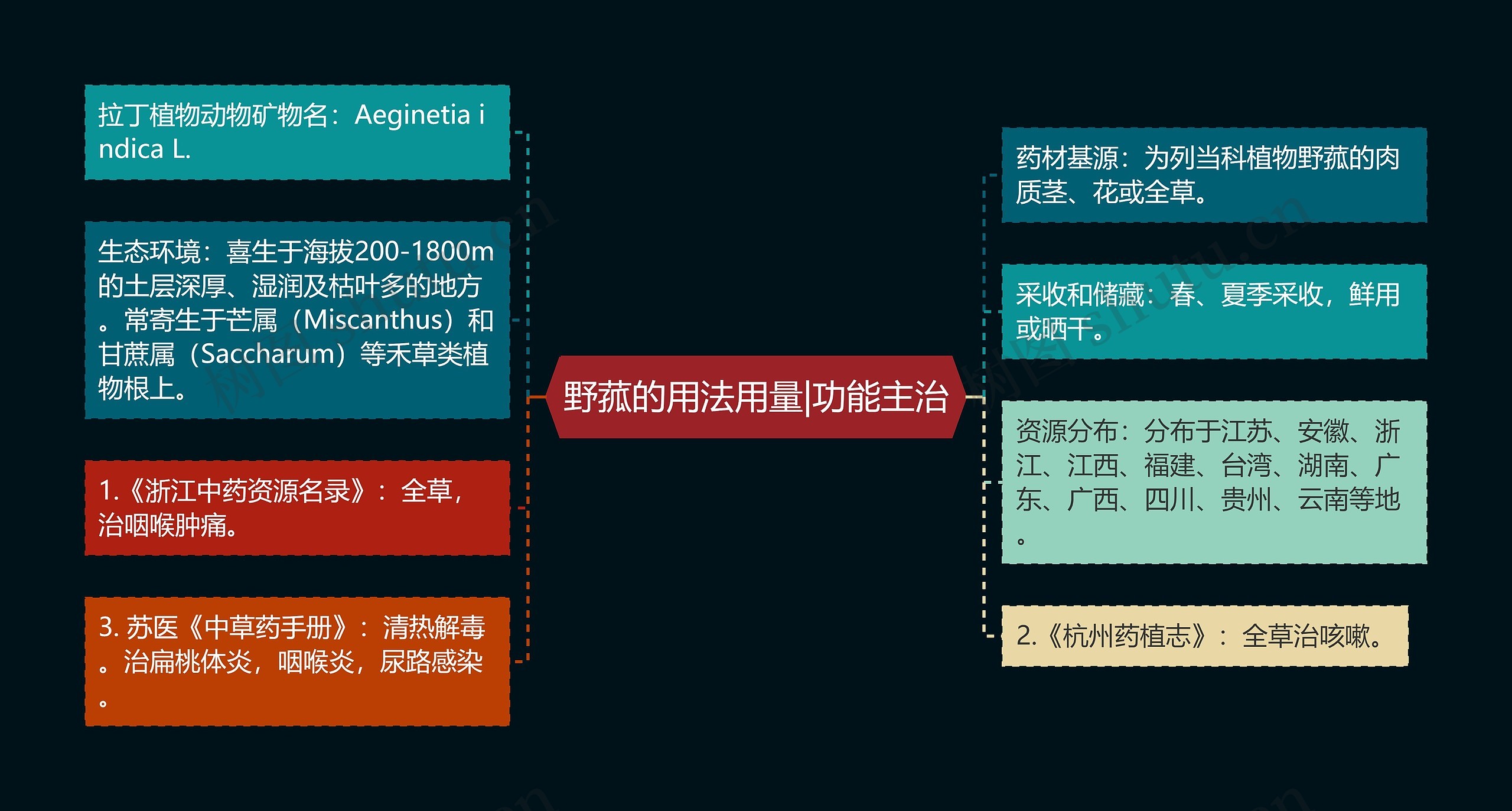 野菰的用法用量|功能主治思维导图