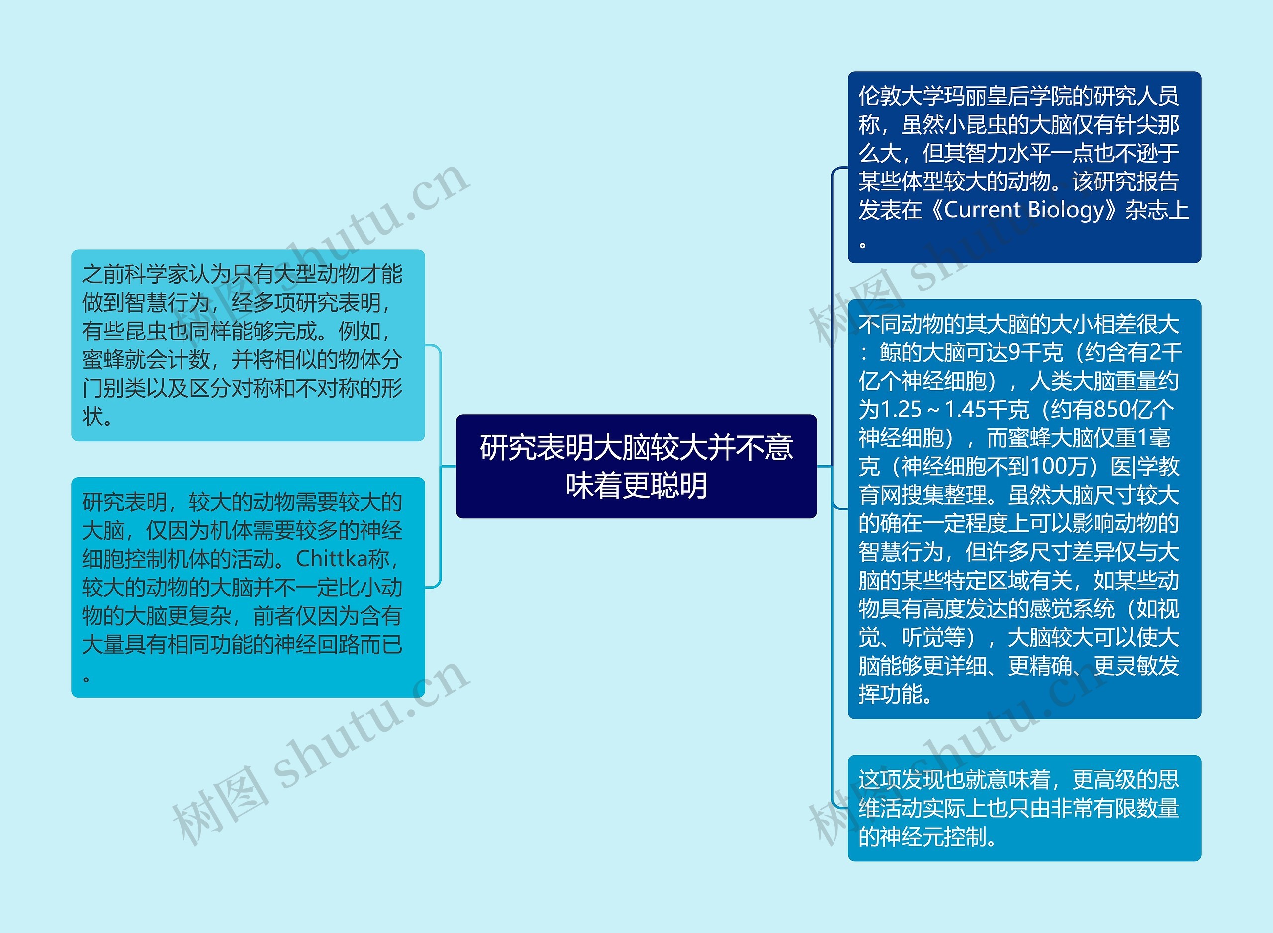 研究表明大脑较大并不意味着更聪明思维导图