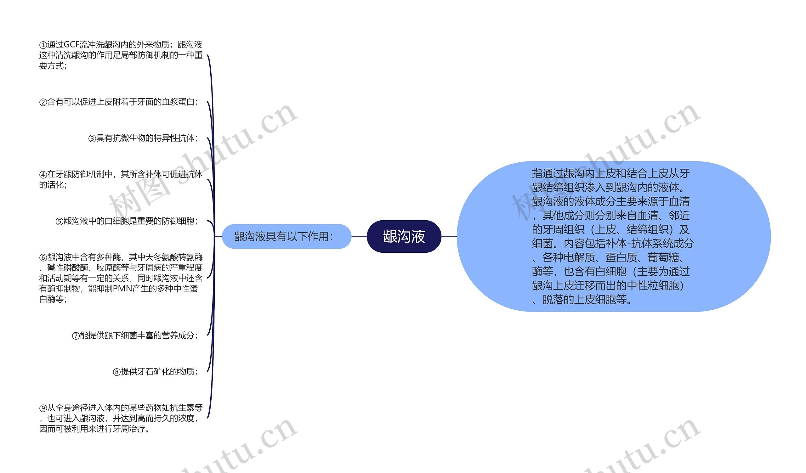 龈沟液思维导图