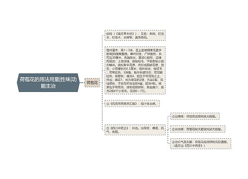 荷苞花的用法用量|性味|功能主治