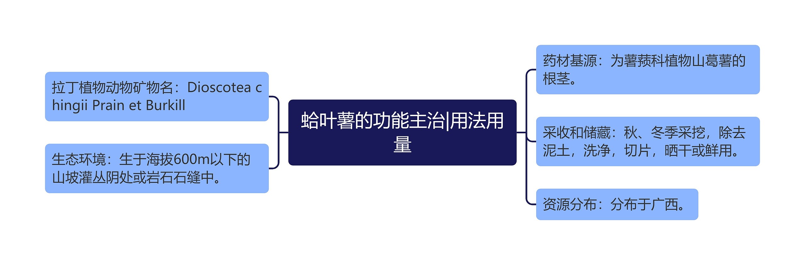 蛤叶薯的功能主治|用法用量 蛤叶薯的功能主治|用法用量