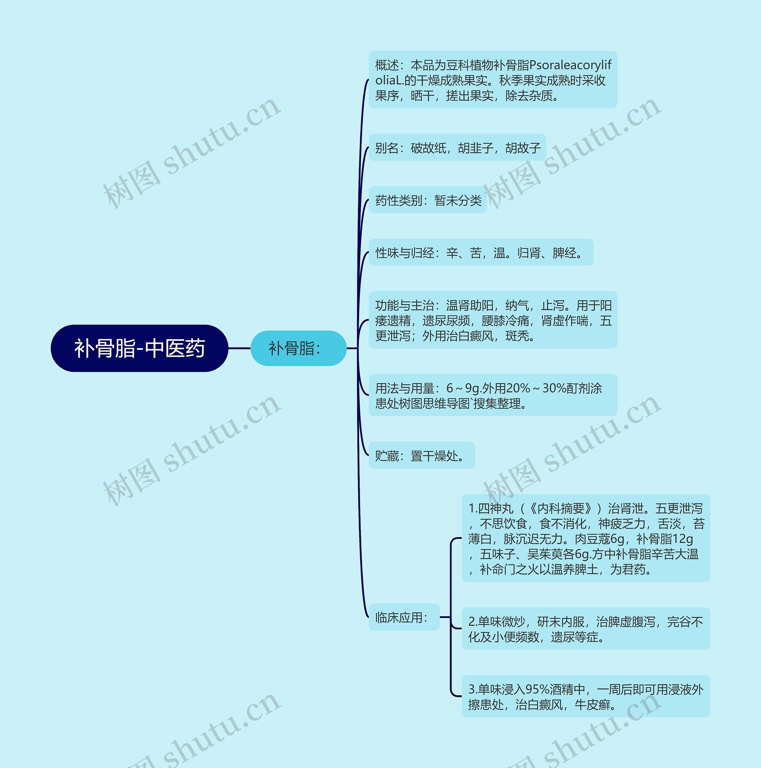 补骨脂-中医药 补骨脂-中医药