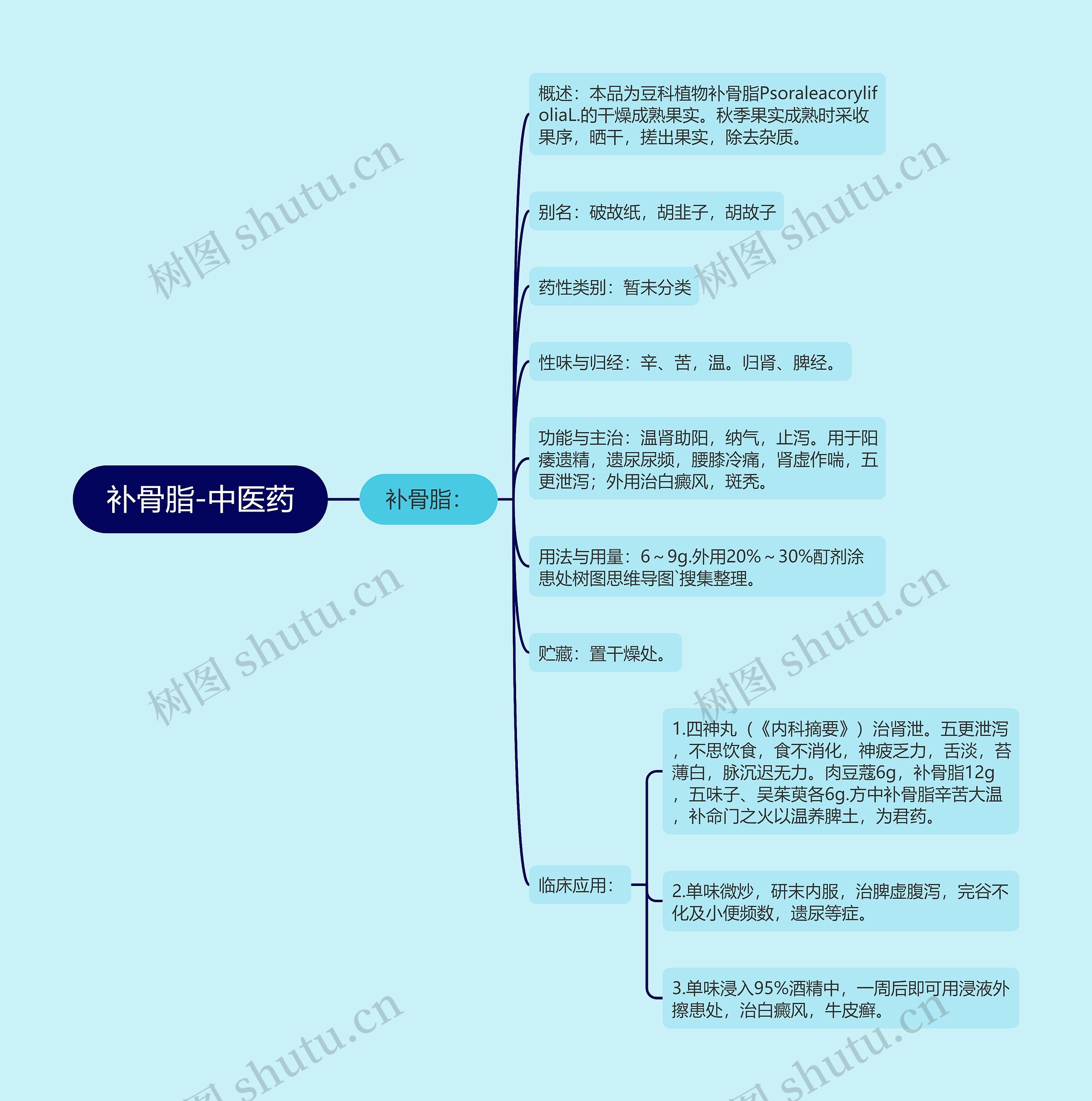 补骨脂-中医药思维导图
