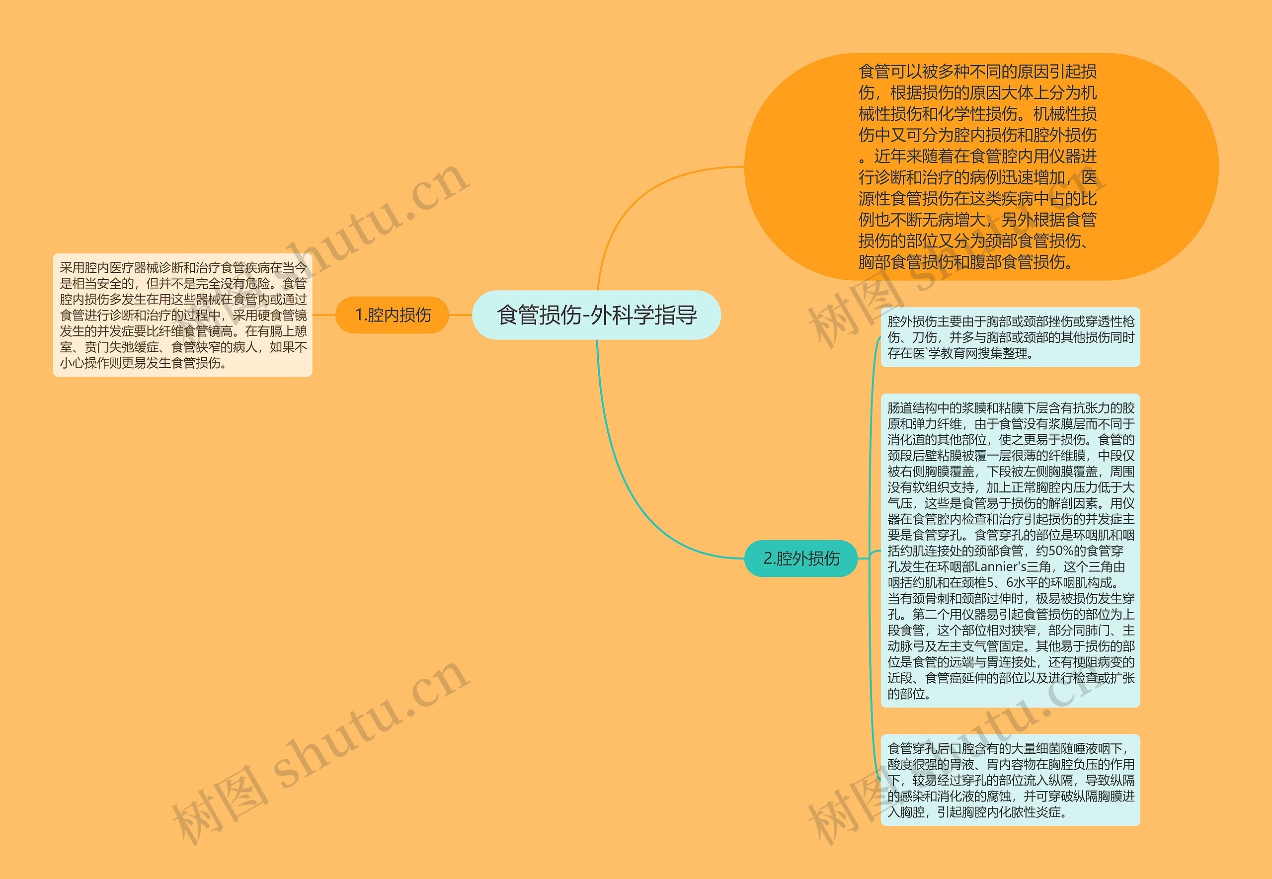 食管损伤-外科学指导 食管损伤-外科学指导