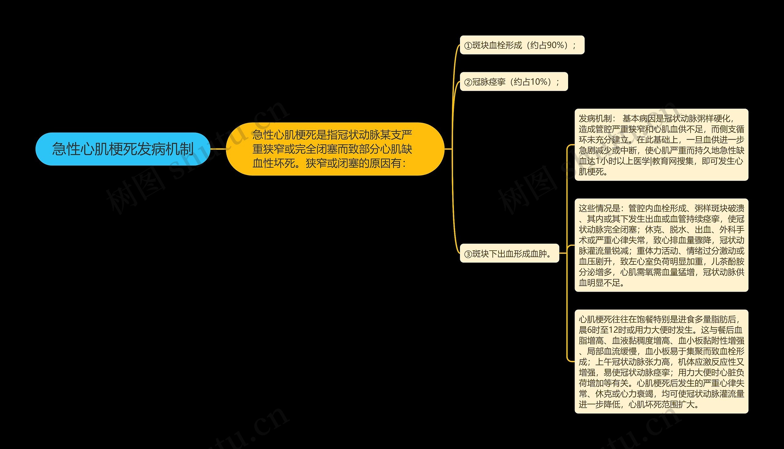 急性心肌梗死发病机制