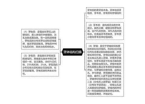 牙体结构扫描