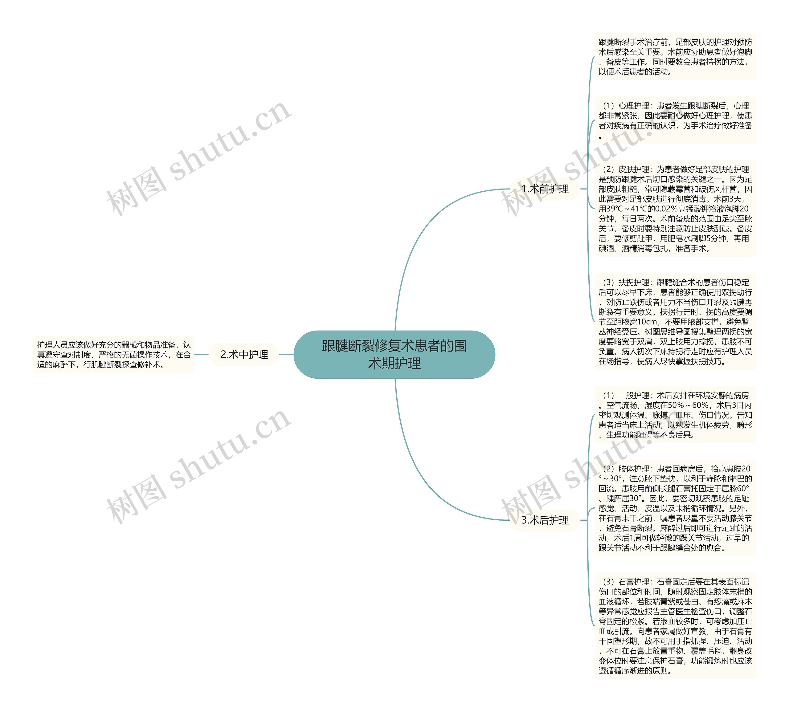 跟腱断裂修复术患者的围术期护理 跟腱断裂修复术患者的围术期护理