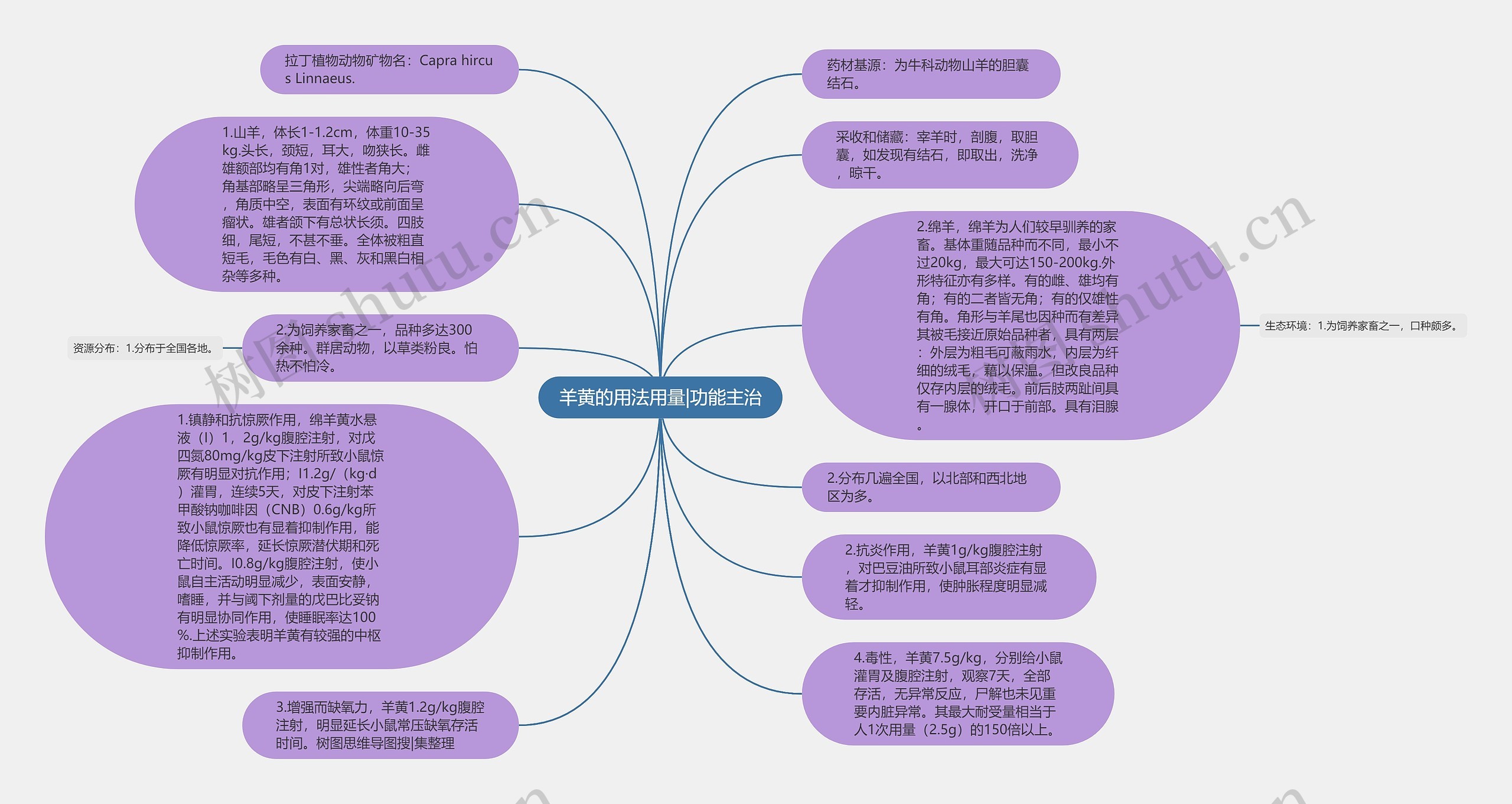 羊黄的用法用量|功能主治