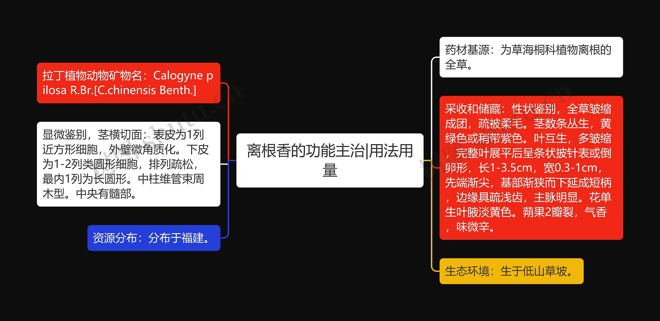 离根香的功能主治|用法用量