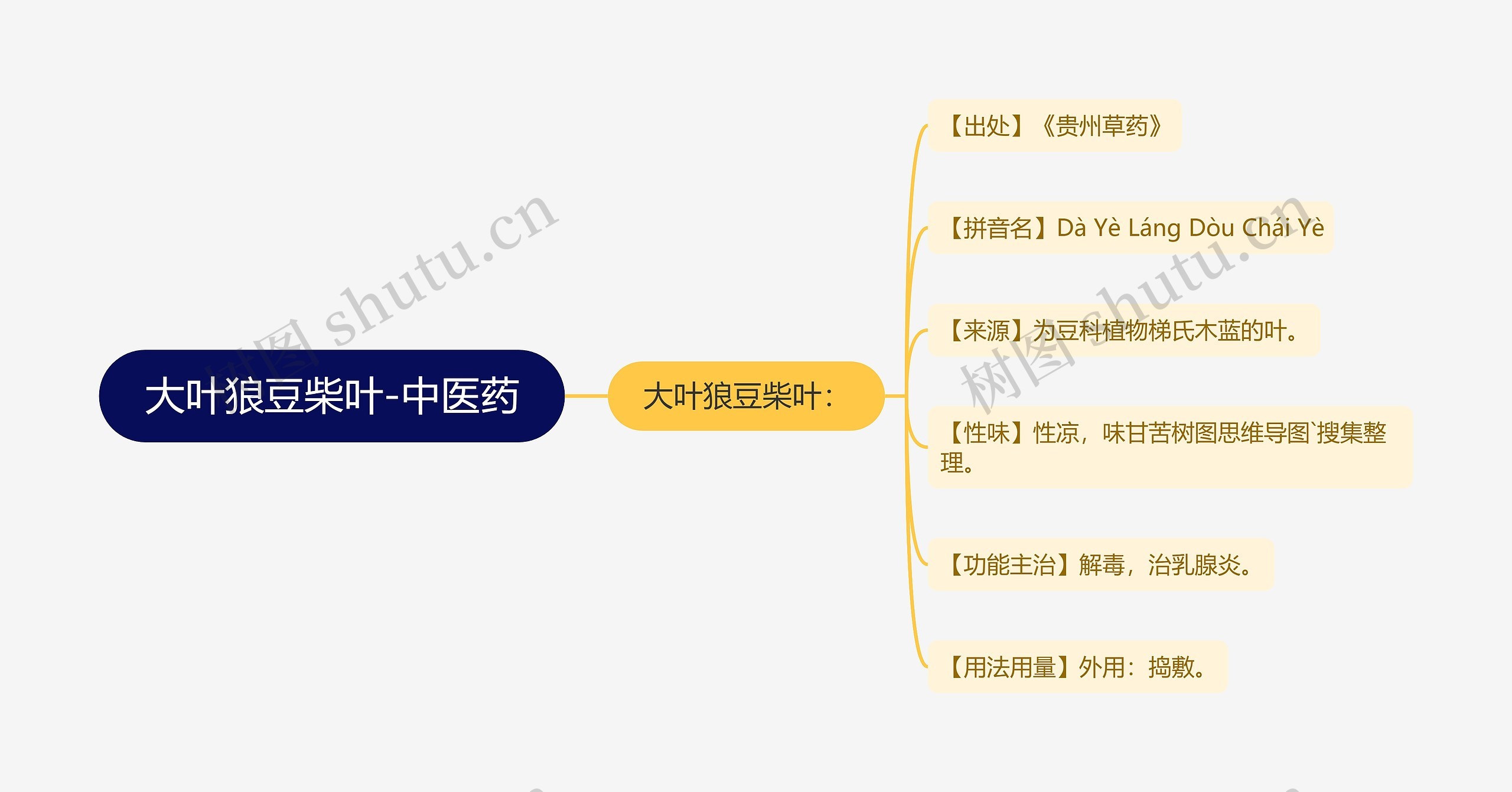 大叶狼豆柴叶-中医药思维导图