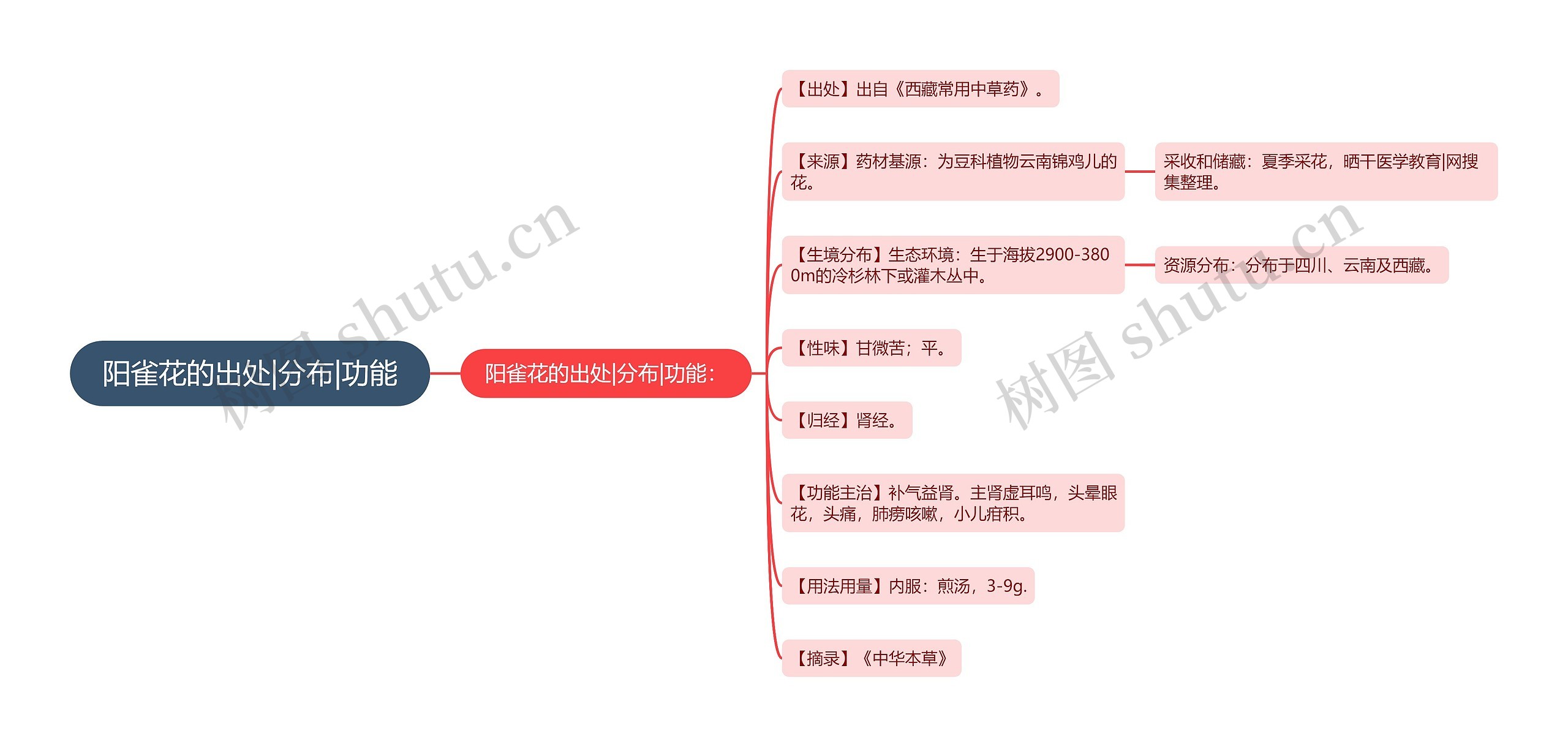 阳雀花的出处|分布|功能思维导图