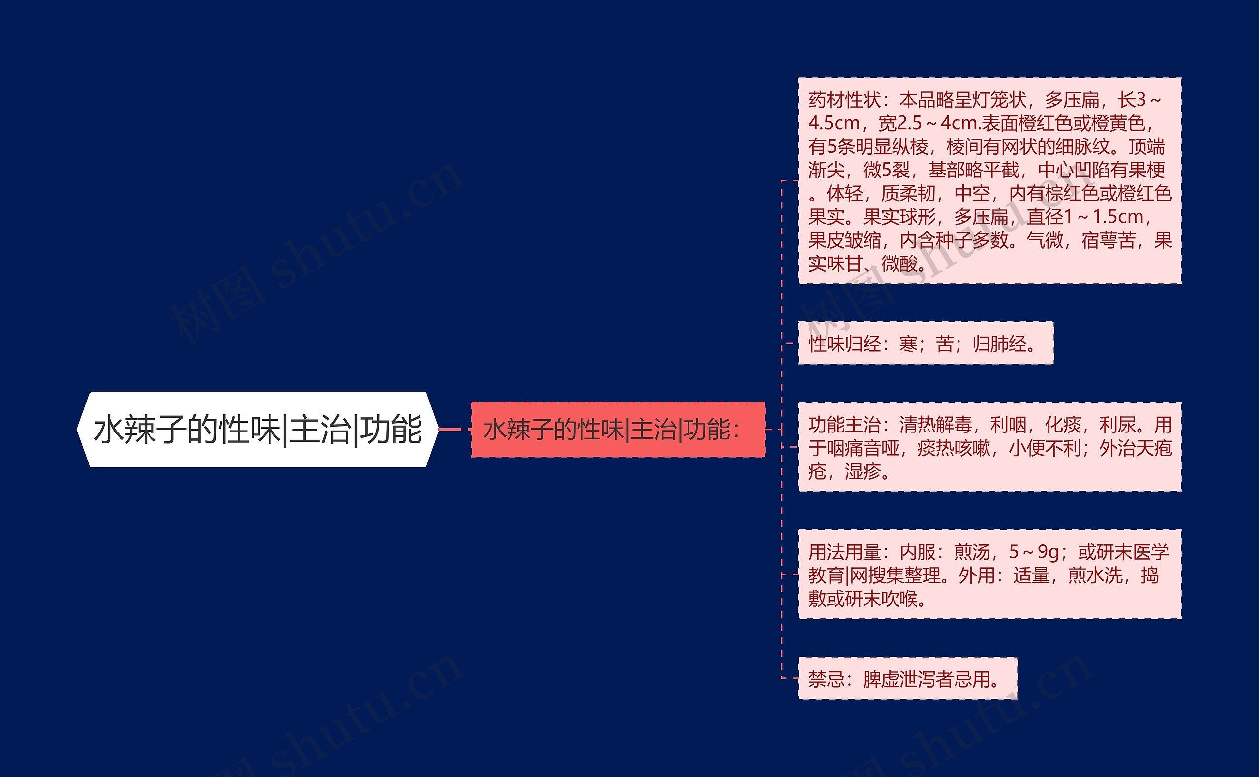 水辣子的性味|主治|功能