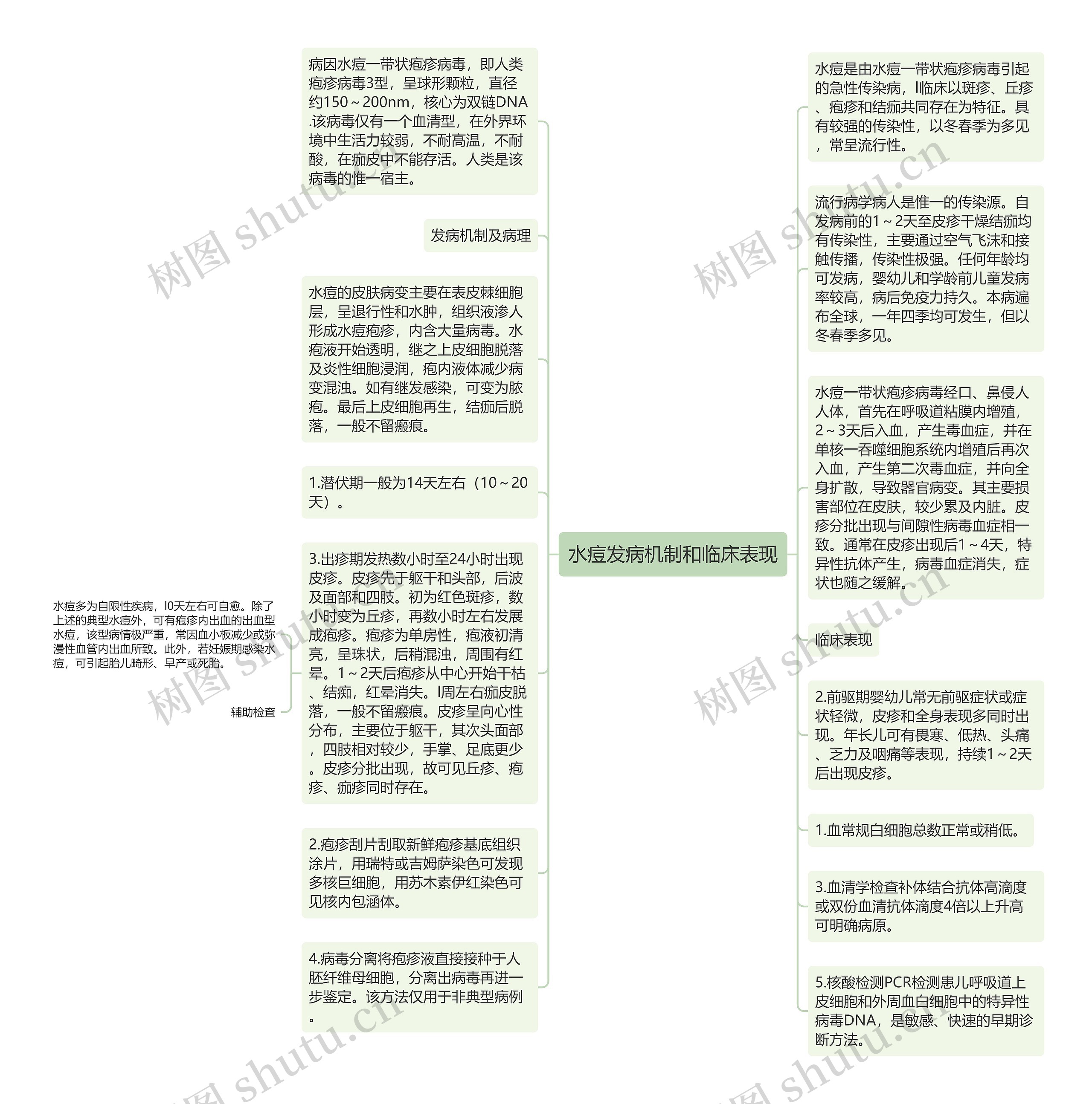 水痘发病机制和临床表现思维导图