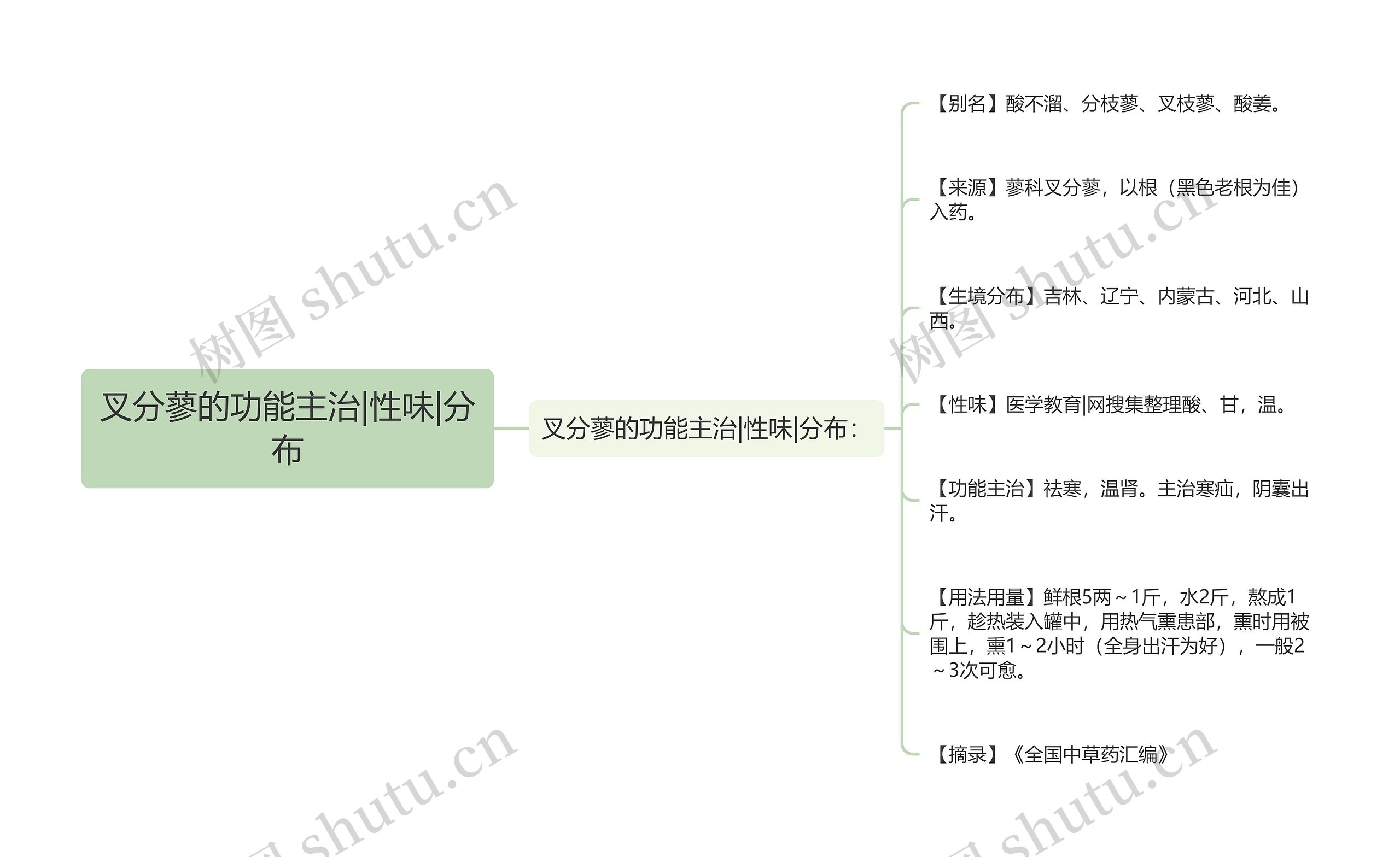 叉分蓼的功能主治|性味|分布