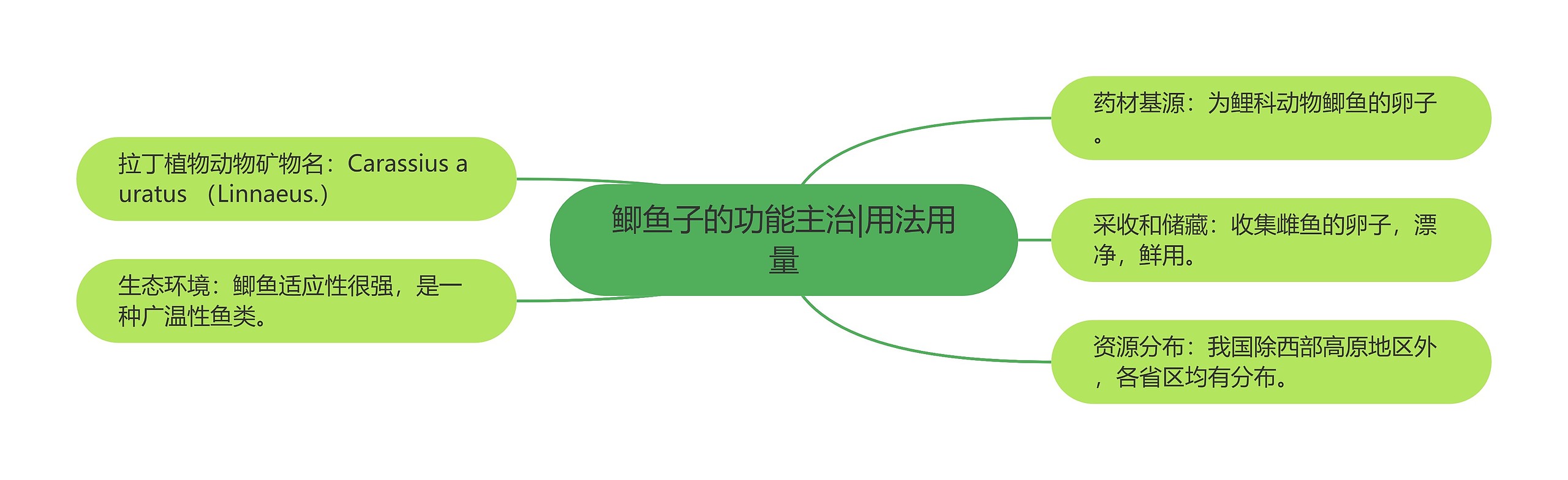 鲫鱼子的功能主治|用法用量思维导图