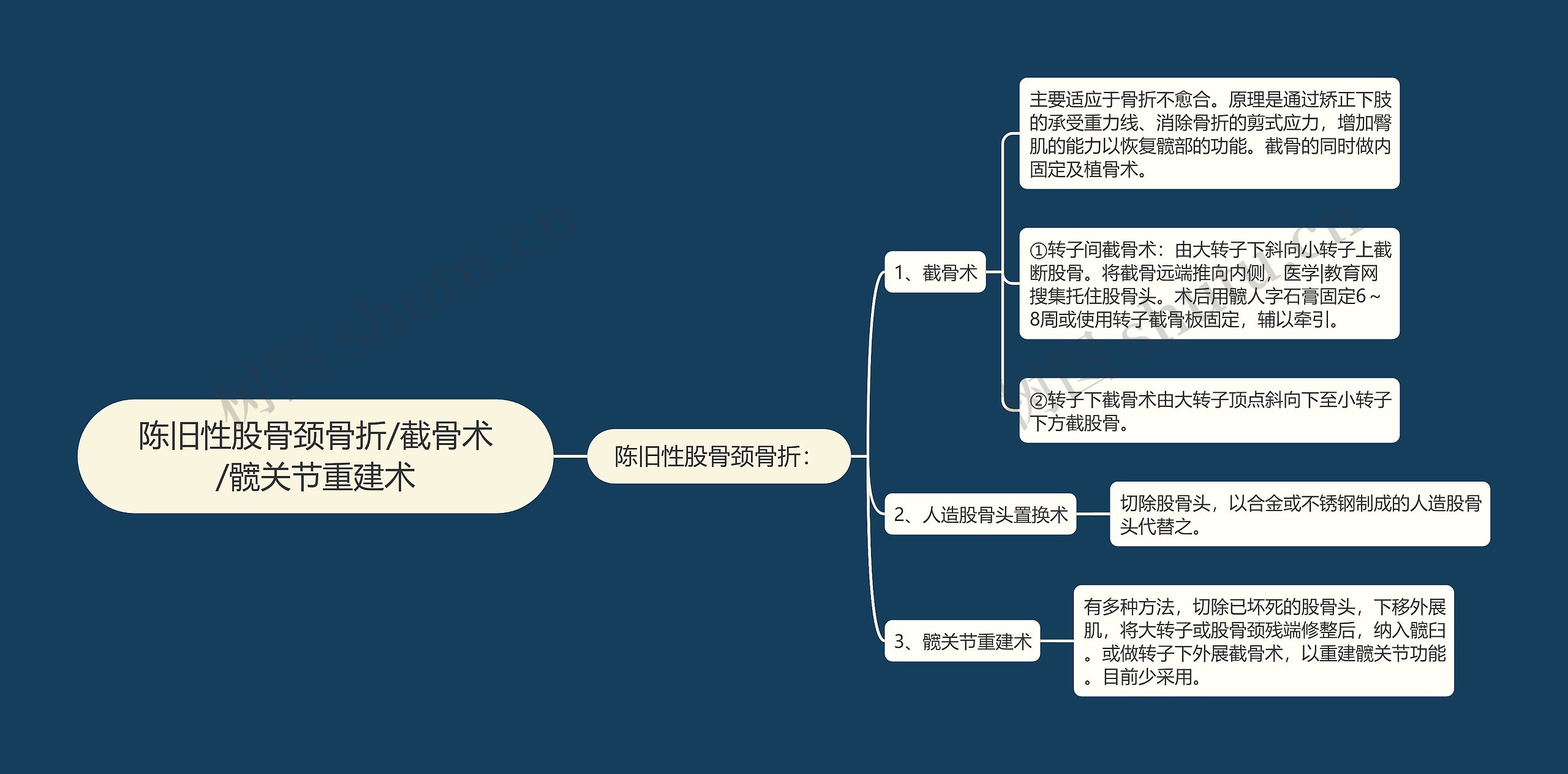 陈旧性股骨颈骨折/截骨术/髋关节重建术