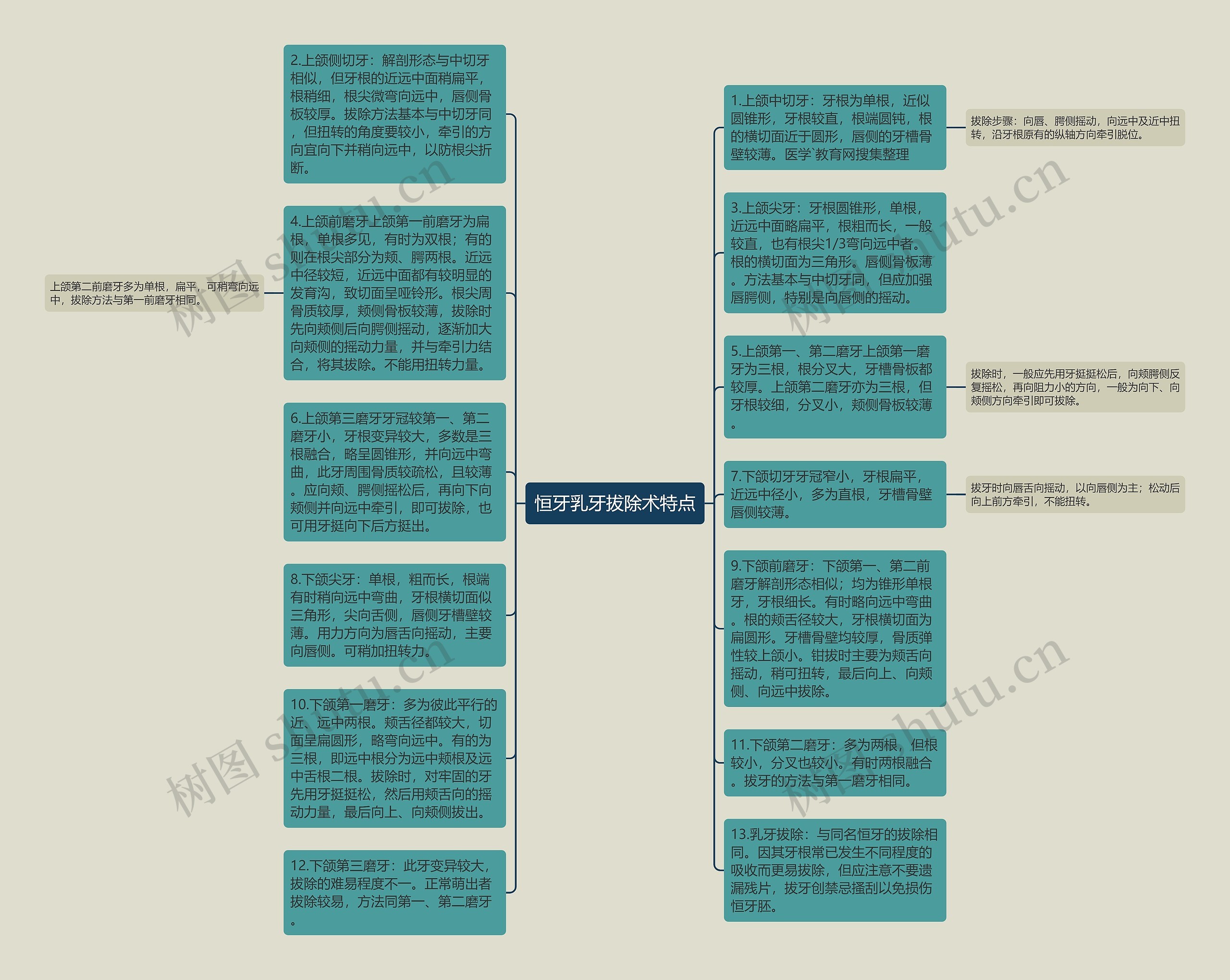 恒牙乳牙拔除术特点思维导图
