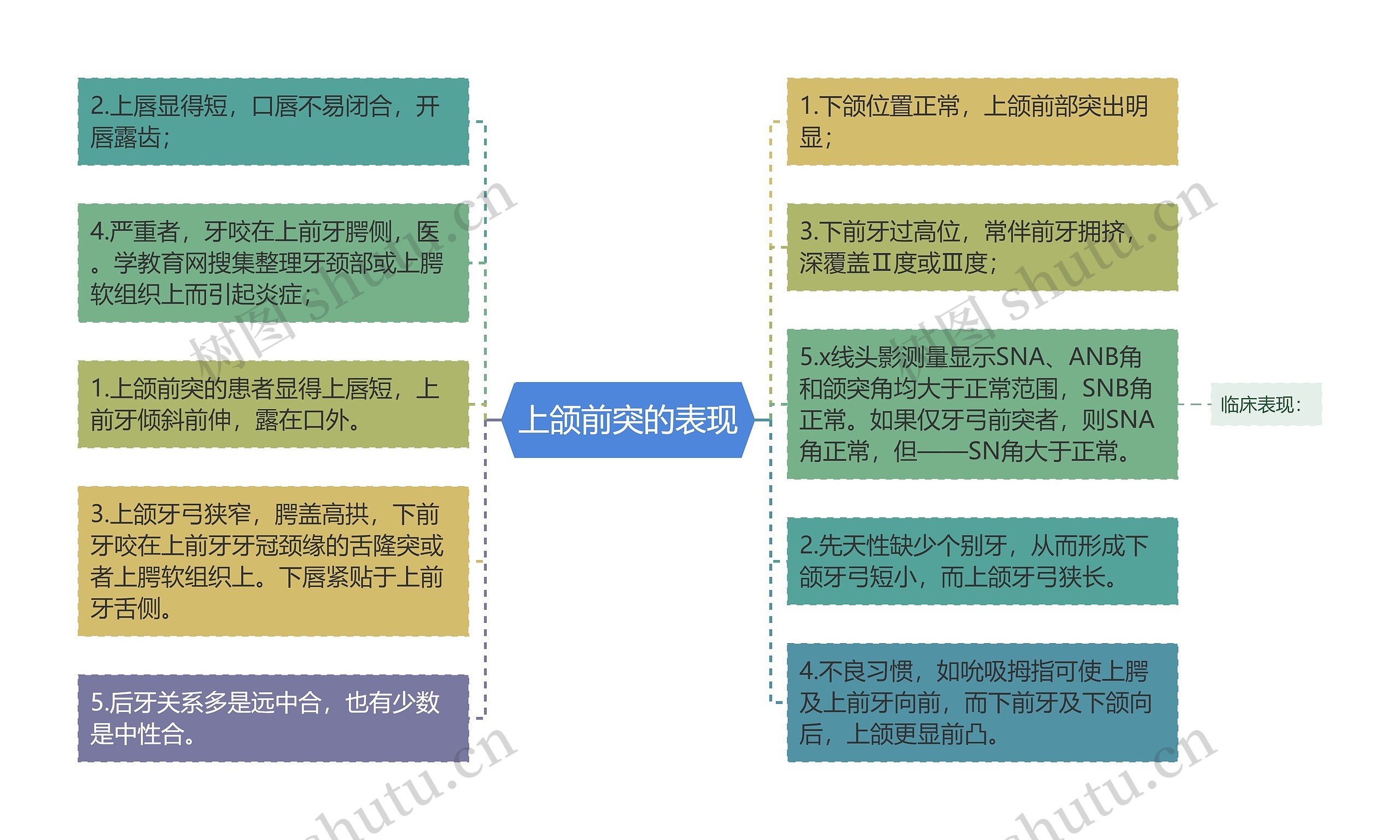 上颌前突的表现