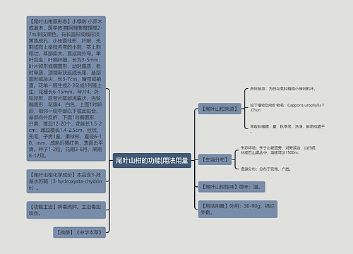 尾叶山柑的功能|用法用量