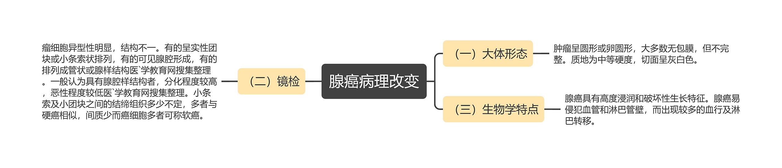 腺癌病理改变思维导图