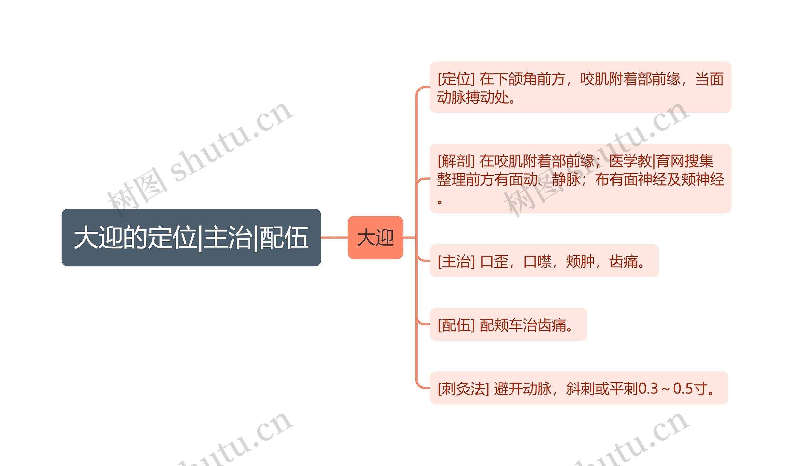 大迎的定位|主治|配伍思维导图