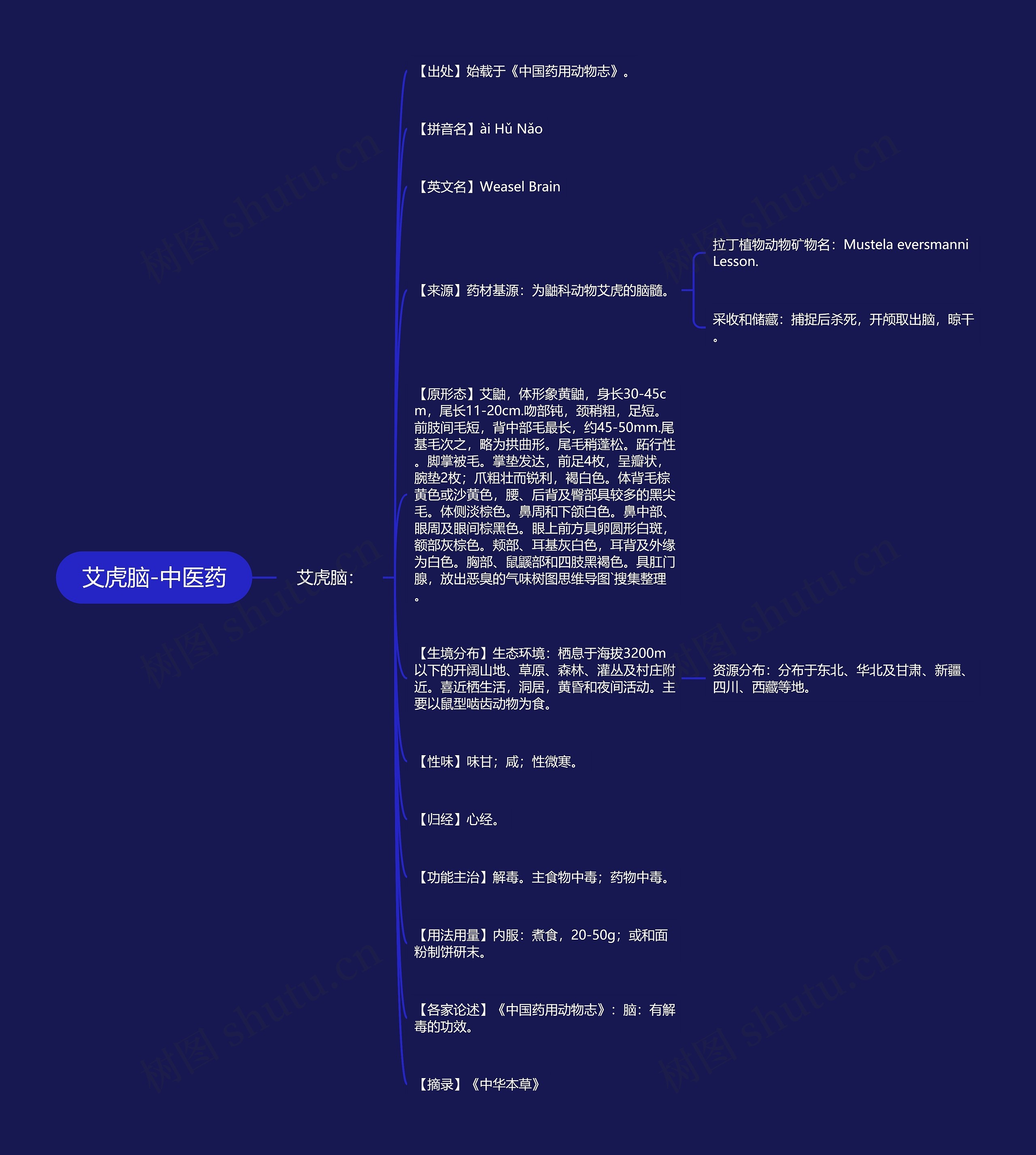 艾虎脑-中医药 艾虎脑-中医药