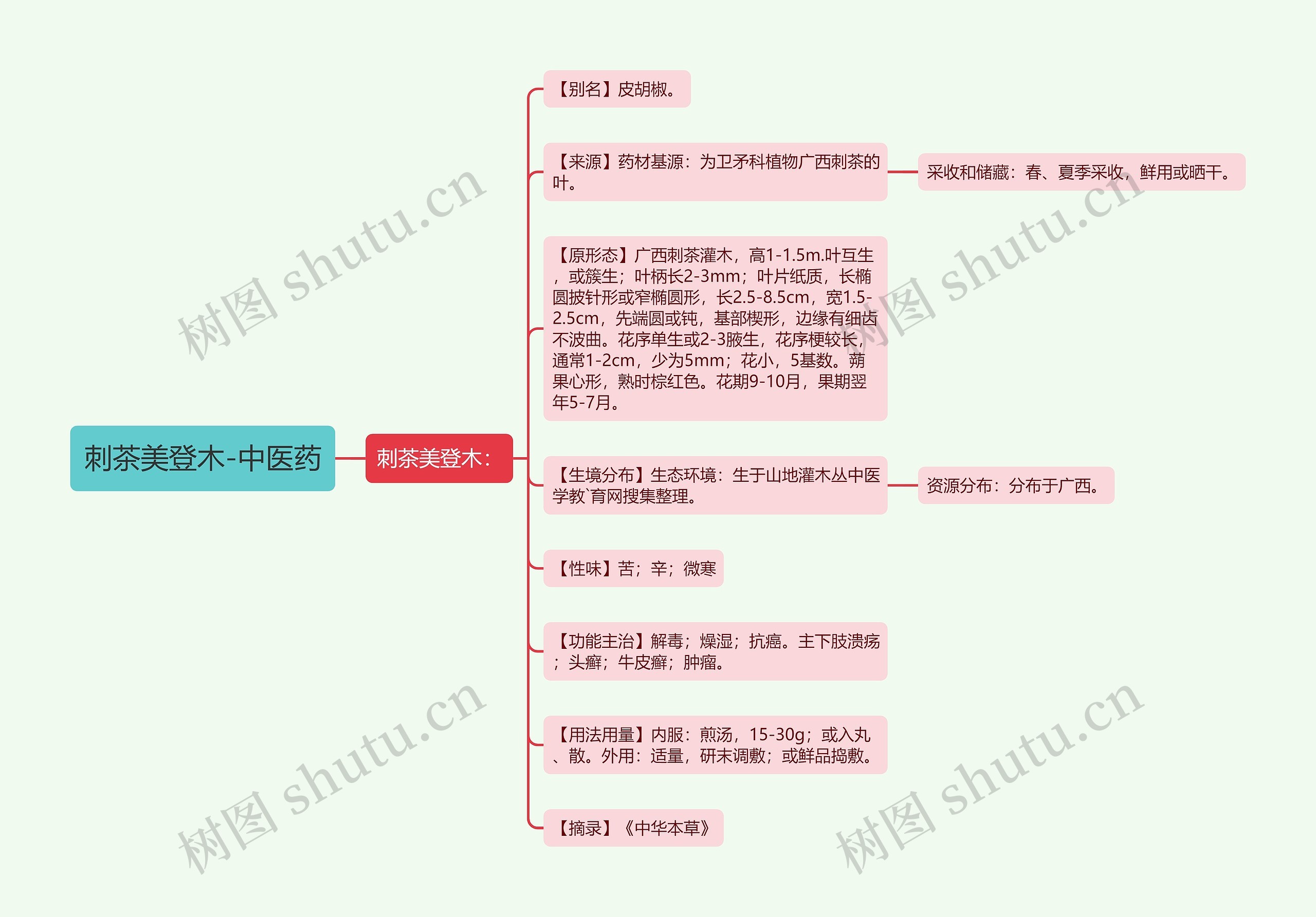 刺茶美登木-中医药 刺茶美登木-中医药