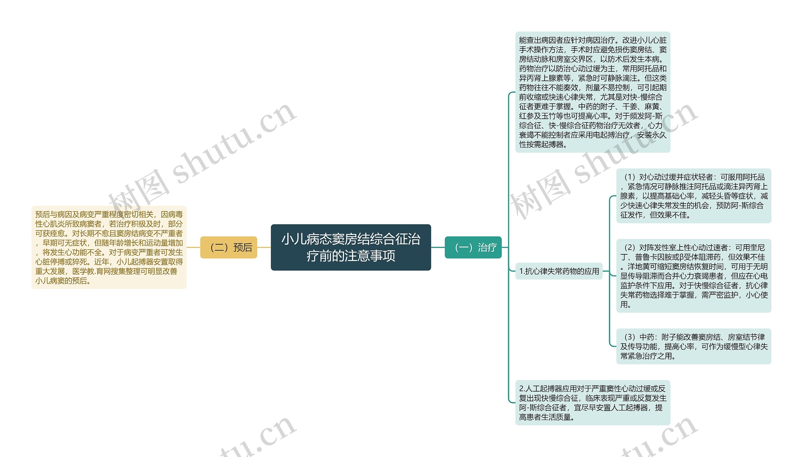 小儿病态窦房结综合征治疗前的注意事项思维导图