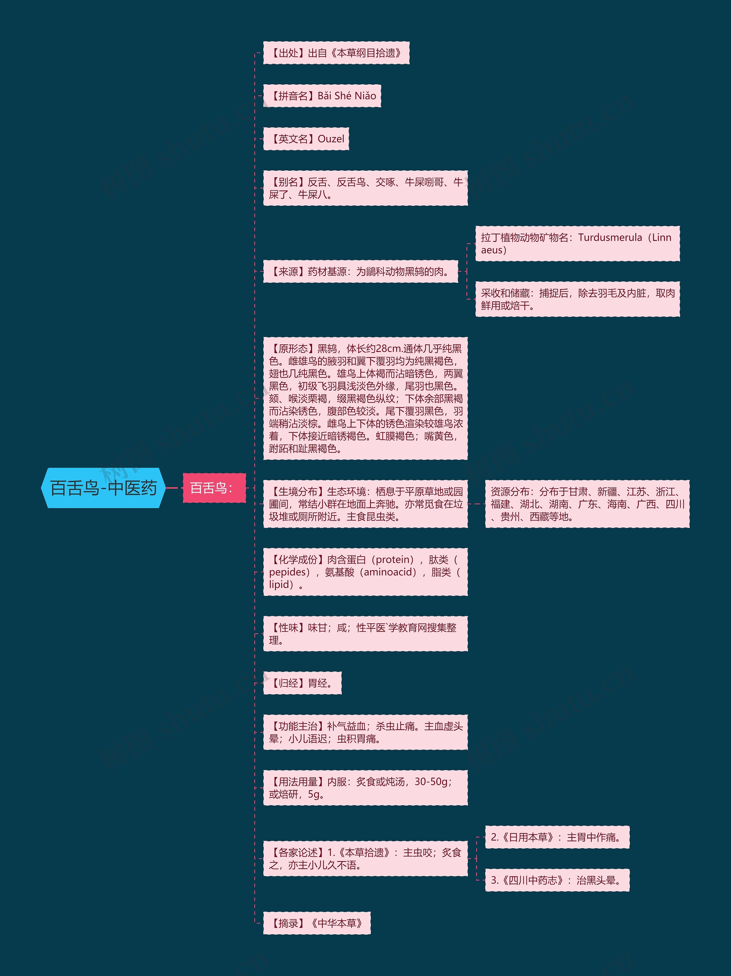 百舌鸟-中医药思维导图